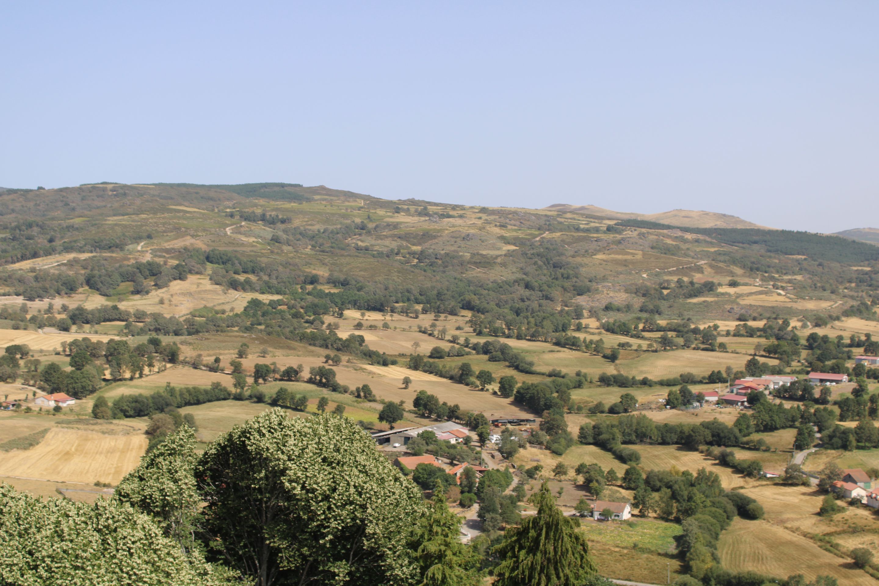 IMG_7532.JPG