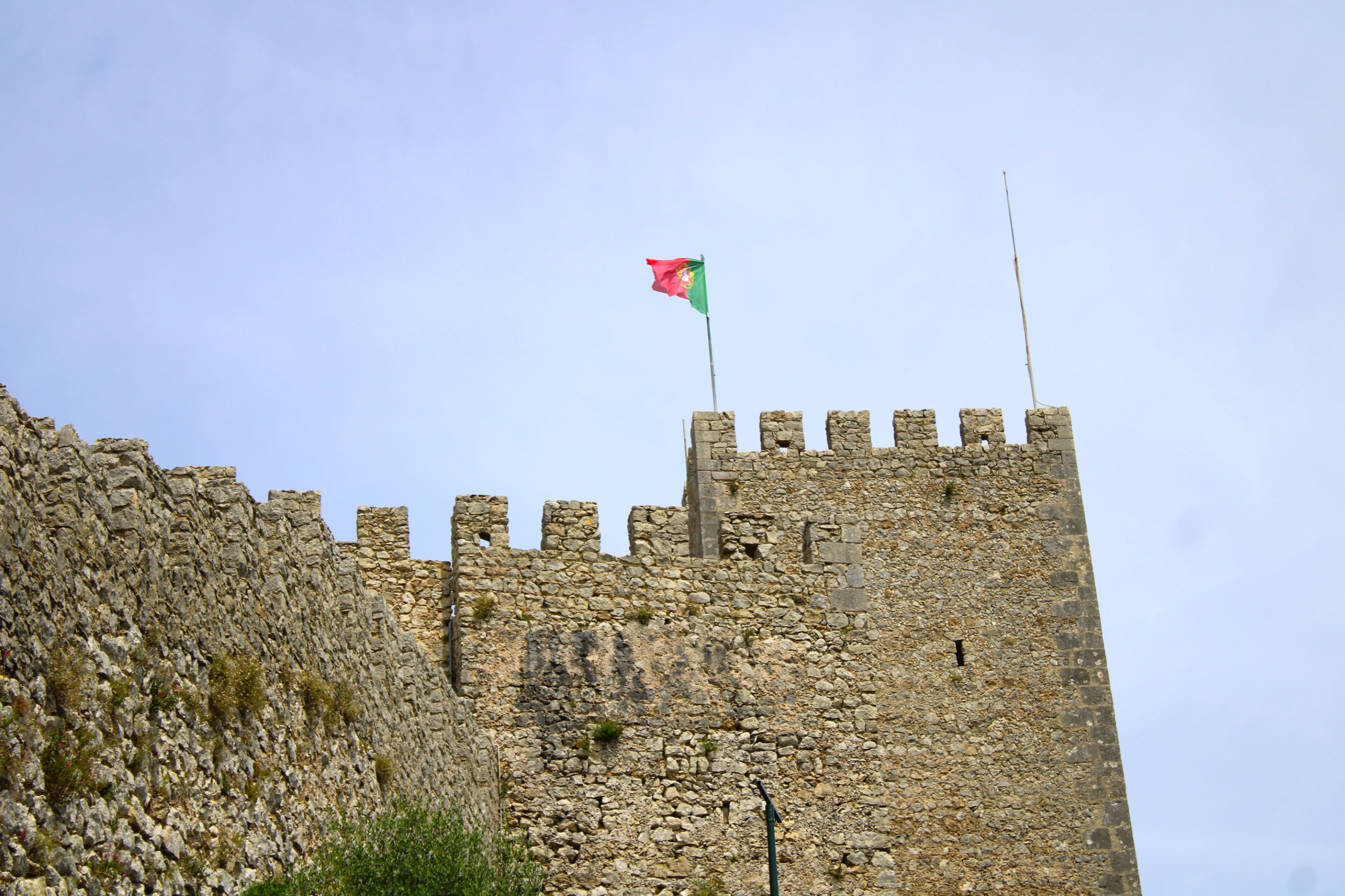 IMG_3414.JPG