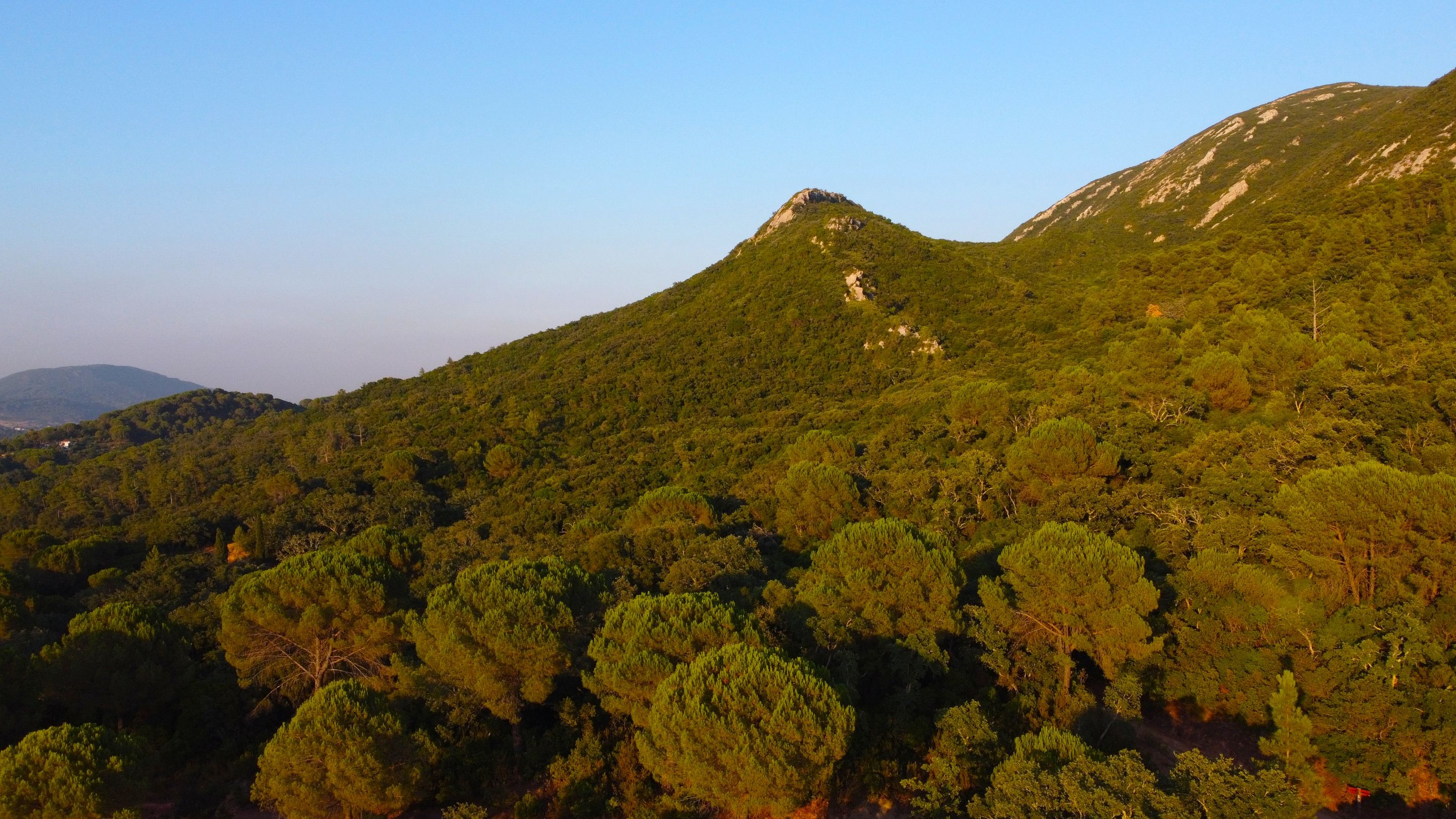 DJI_0372.JPG