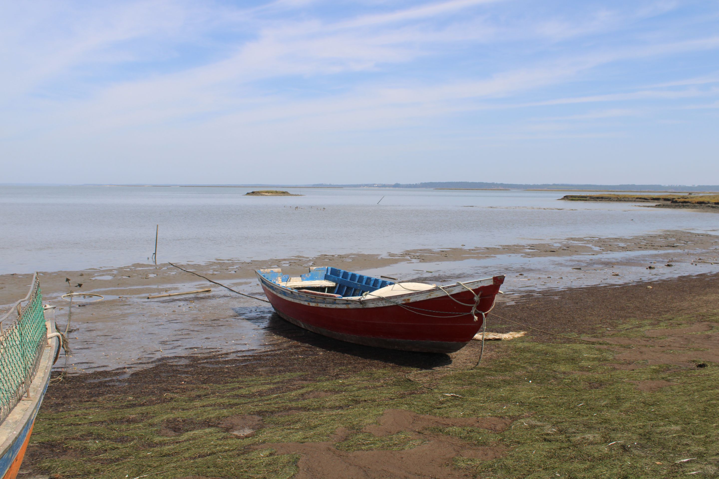 IMG_8809.JPG