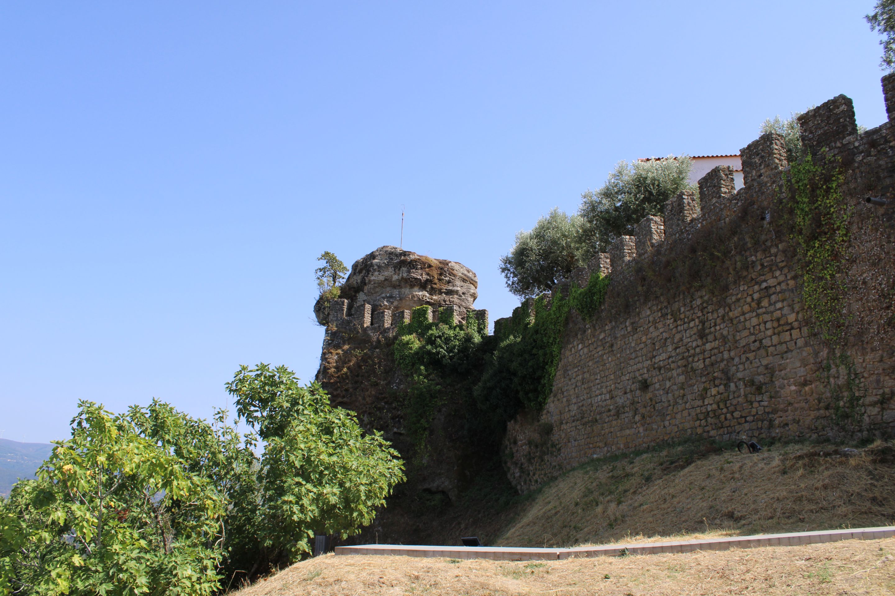IMG_6853.JPG