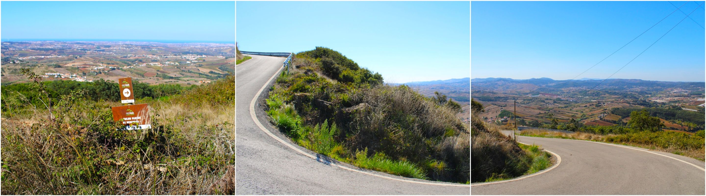 BeFunky-collage - 2025-10-17T135856.292.jpg