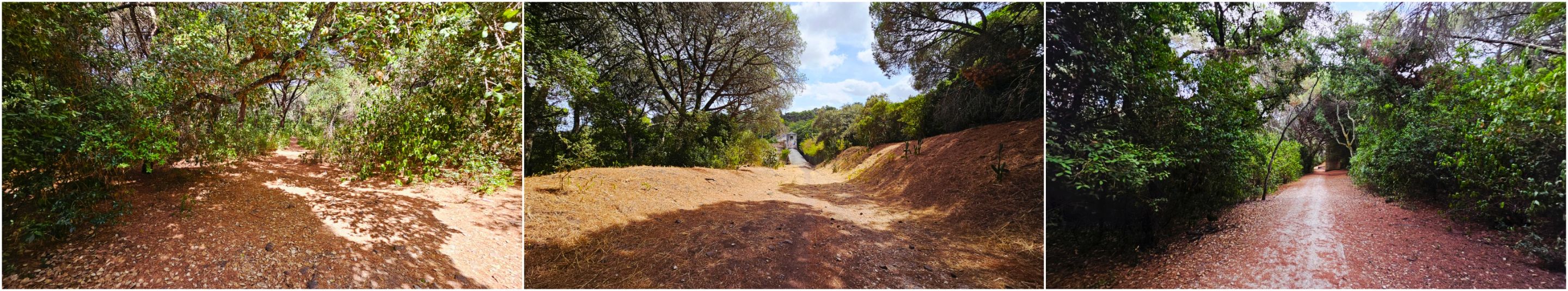 BeFunky-collage - 2025-10-30T103927.422.jpg