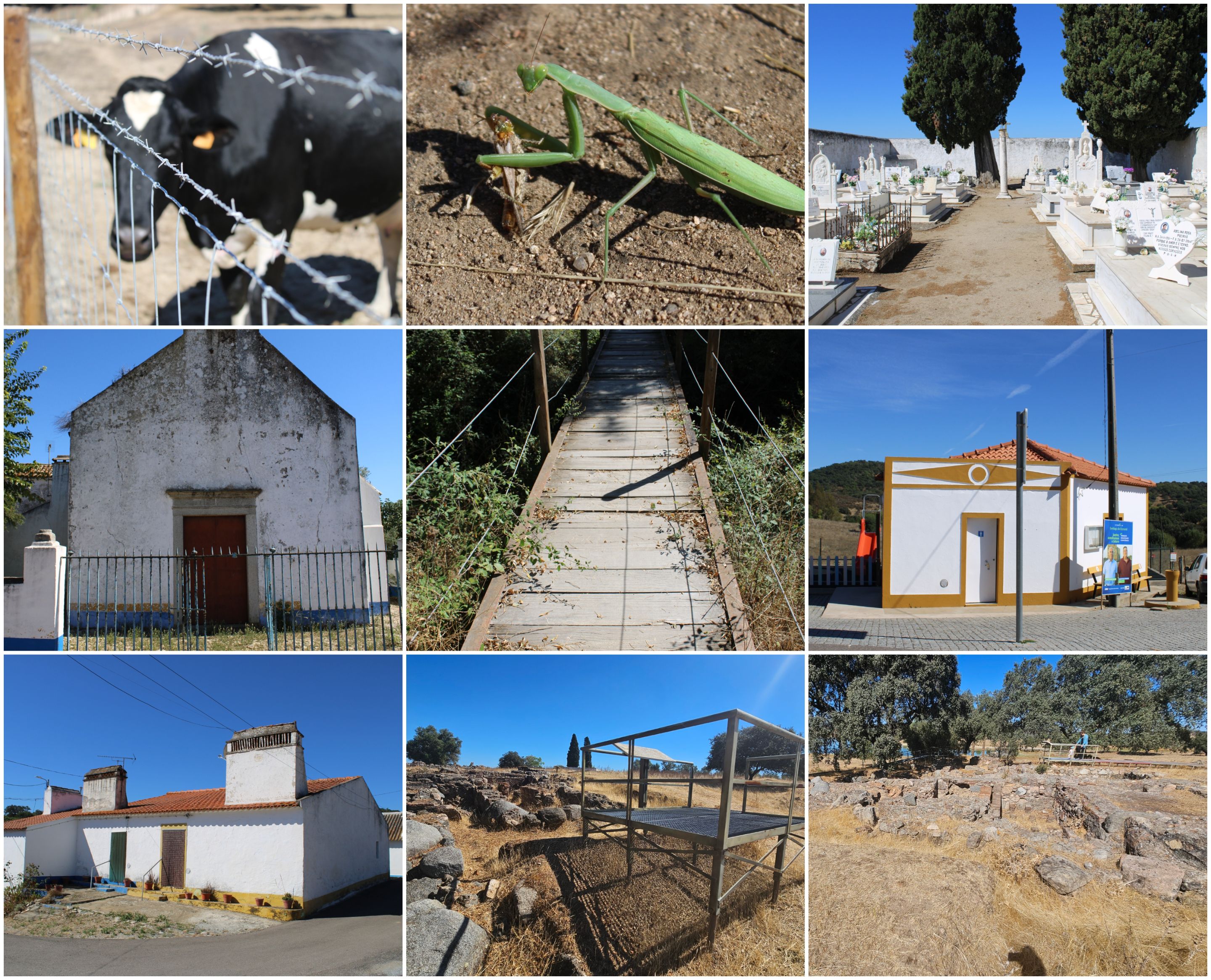 BeFunky-collage - 2025-10-27T134720.677.jpg