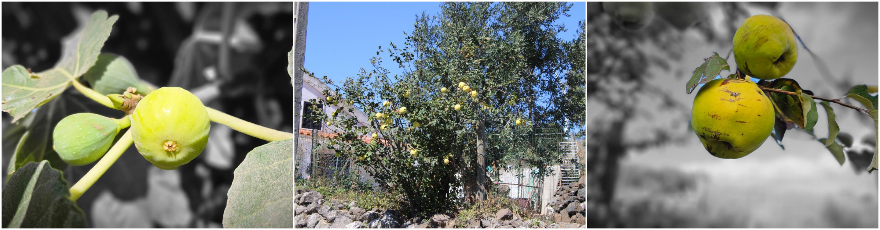 BeFunky-collage - 2025-10-06T103617.081.jpg