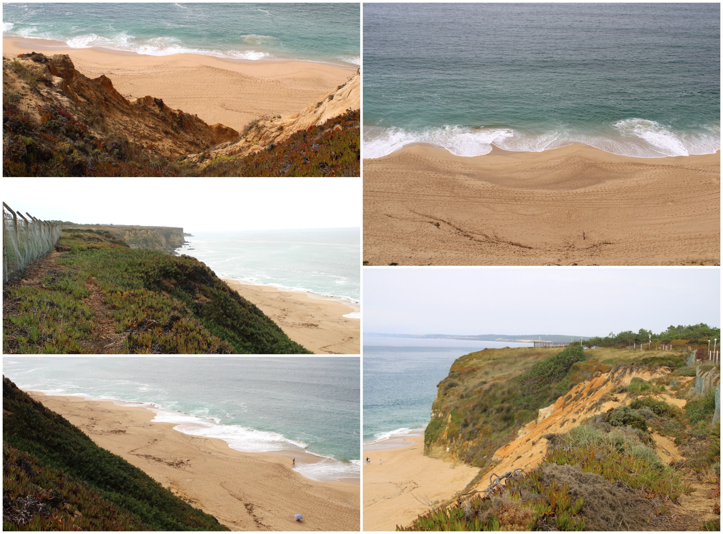 BeFunky-collage - 2025-10-13T165250.591.jpg