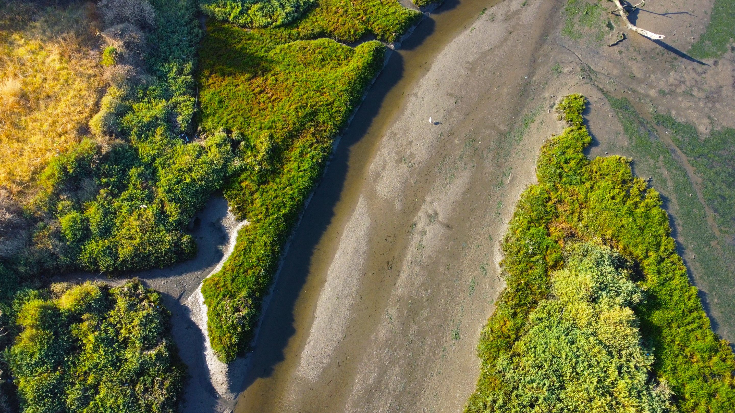 DJI_0423.JPG