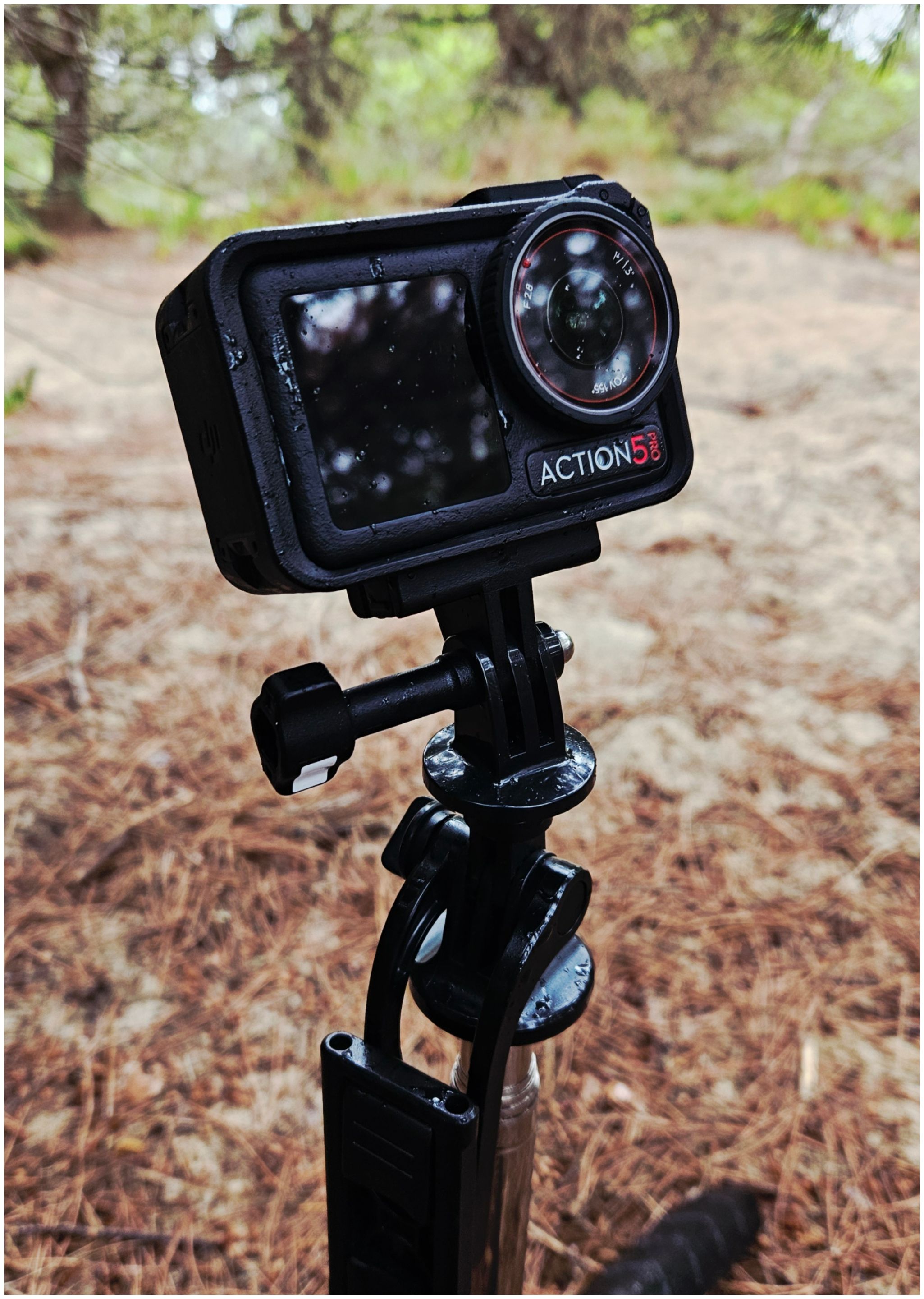 BeFunky-collage - 2025-10-13T155044.692.jpg