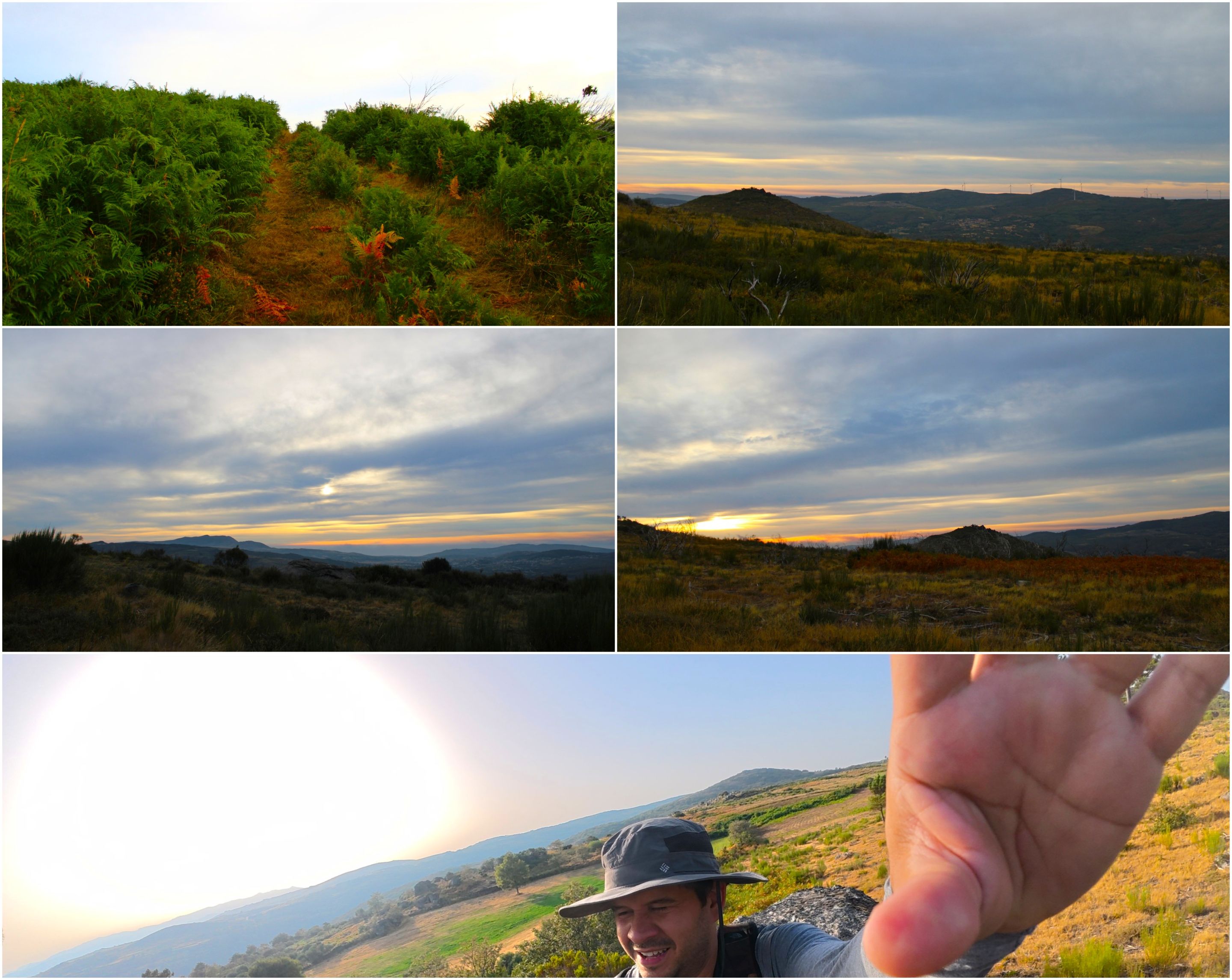 BeFunky-collage - 2025-10-01T111117.135.jpg