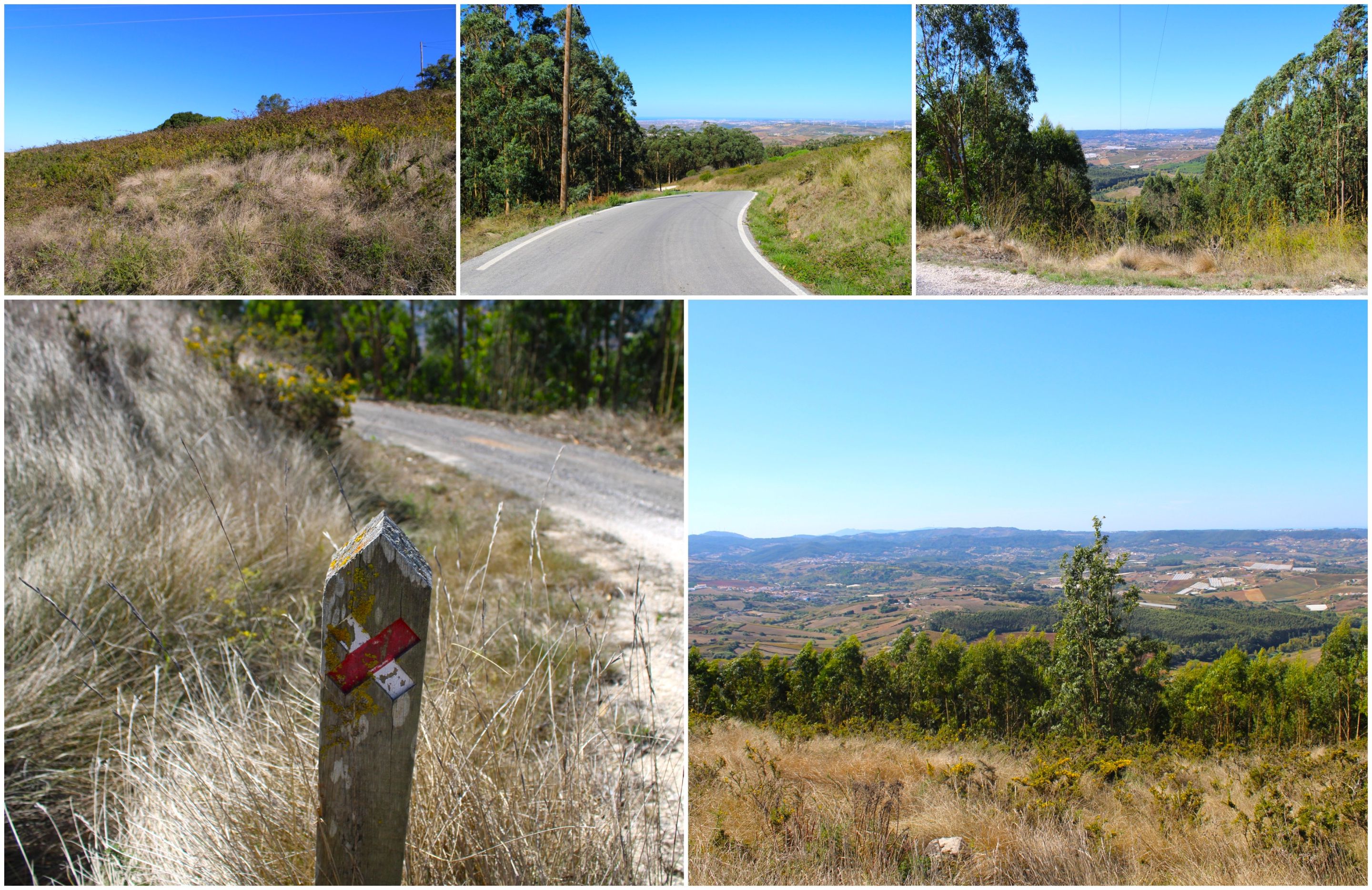 BeFunky-collage - 2025-10-17T141103.296.jpg