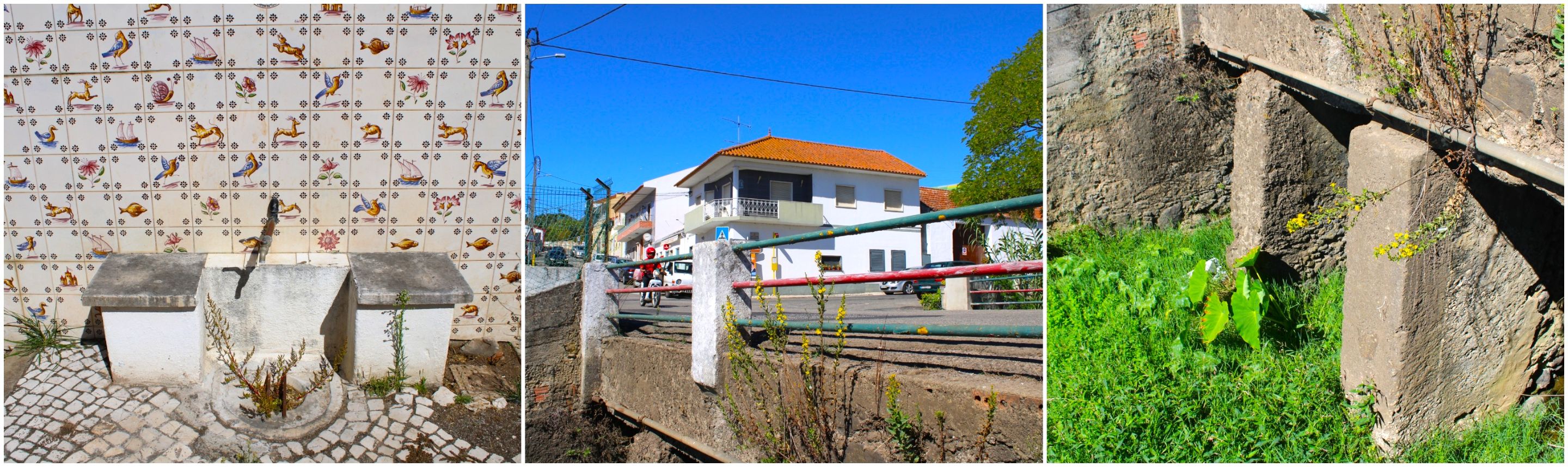 BeFunky-collage - 2025-10-10T143403.283.jpg