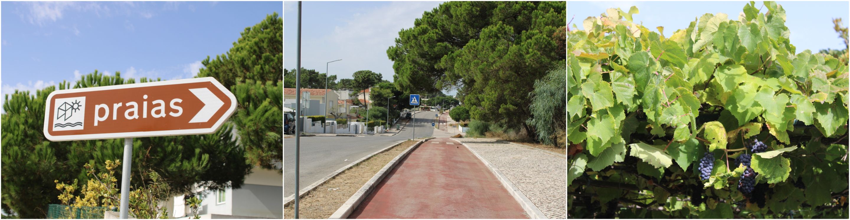 BeFunky-collage - 2025-10-13T141549.850.jpg