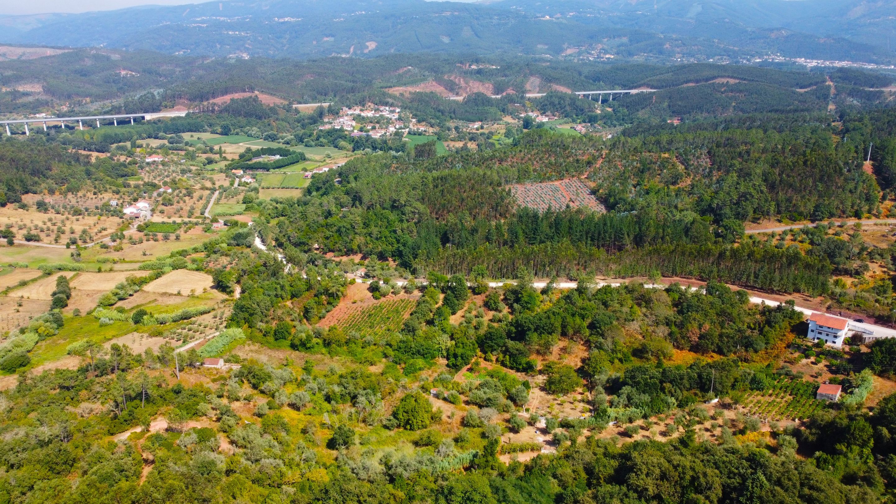 DJI_0499.JPG