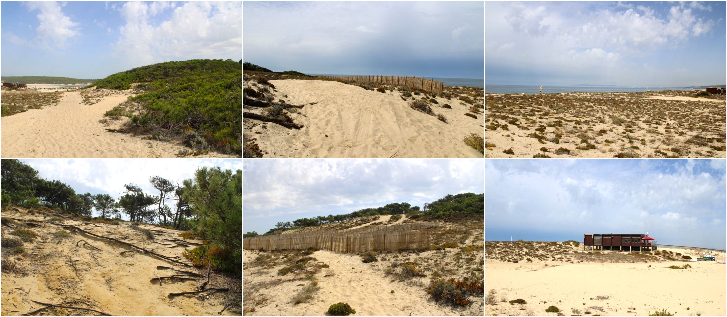 BeFunky-collage - 2025-10-13T151940.494.jpg