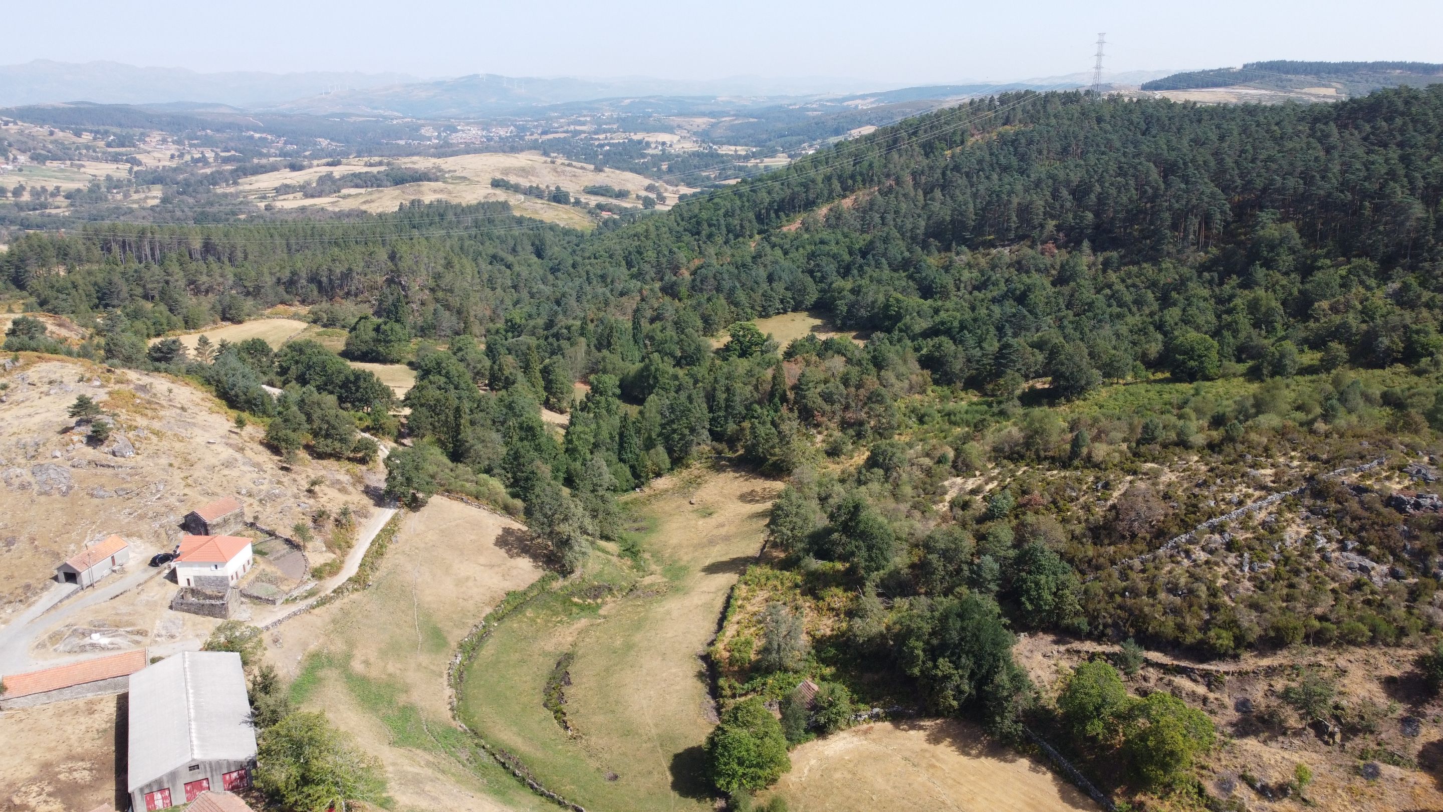 DJI_0555.JPG