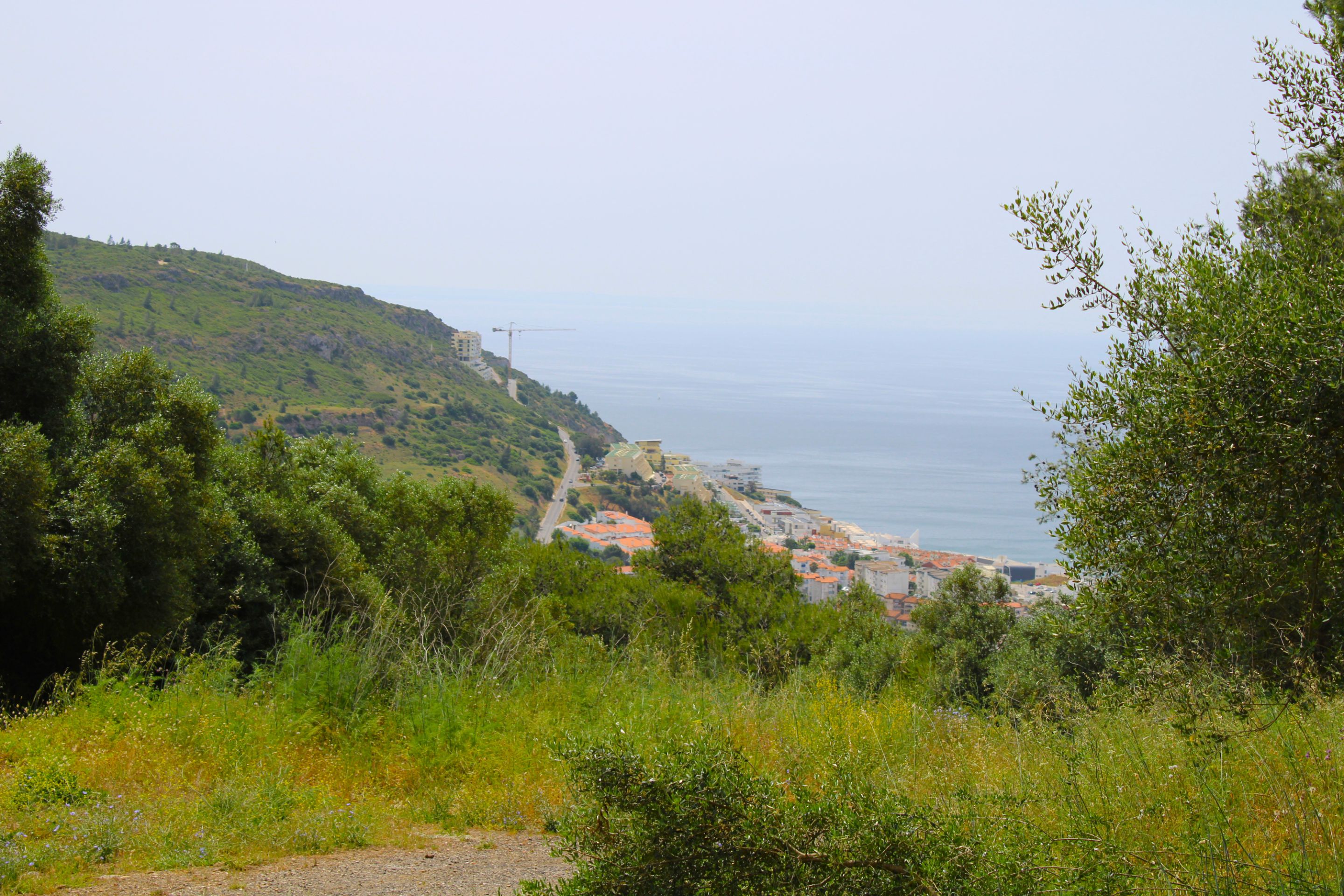 IMG_3360.JPG