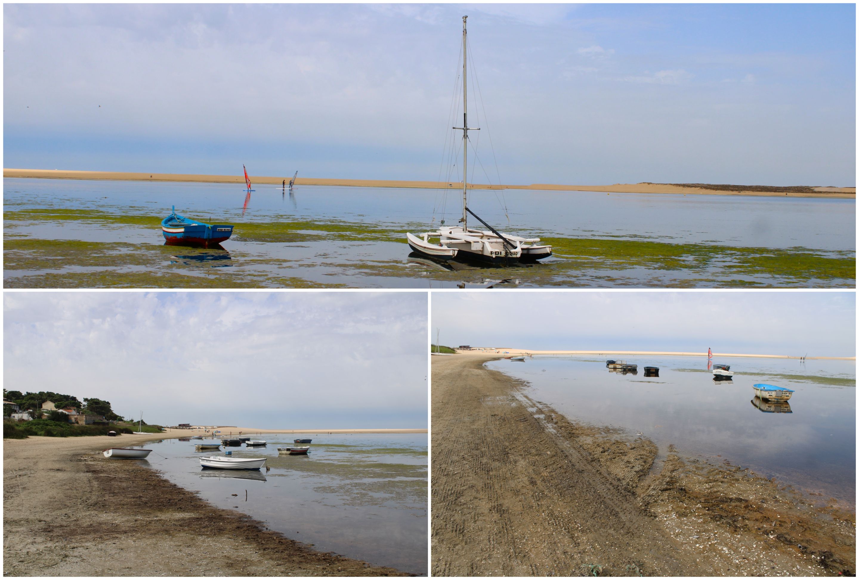 BeFunky-collage - 2025-10-13T150517.202.jpg