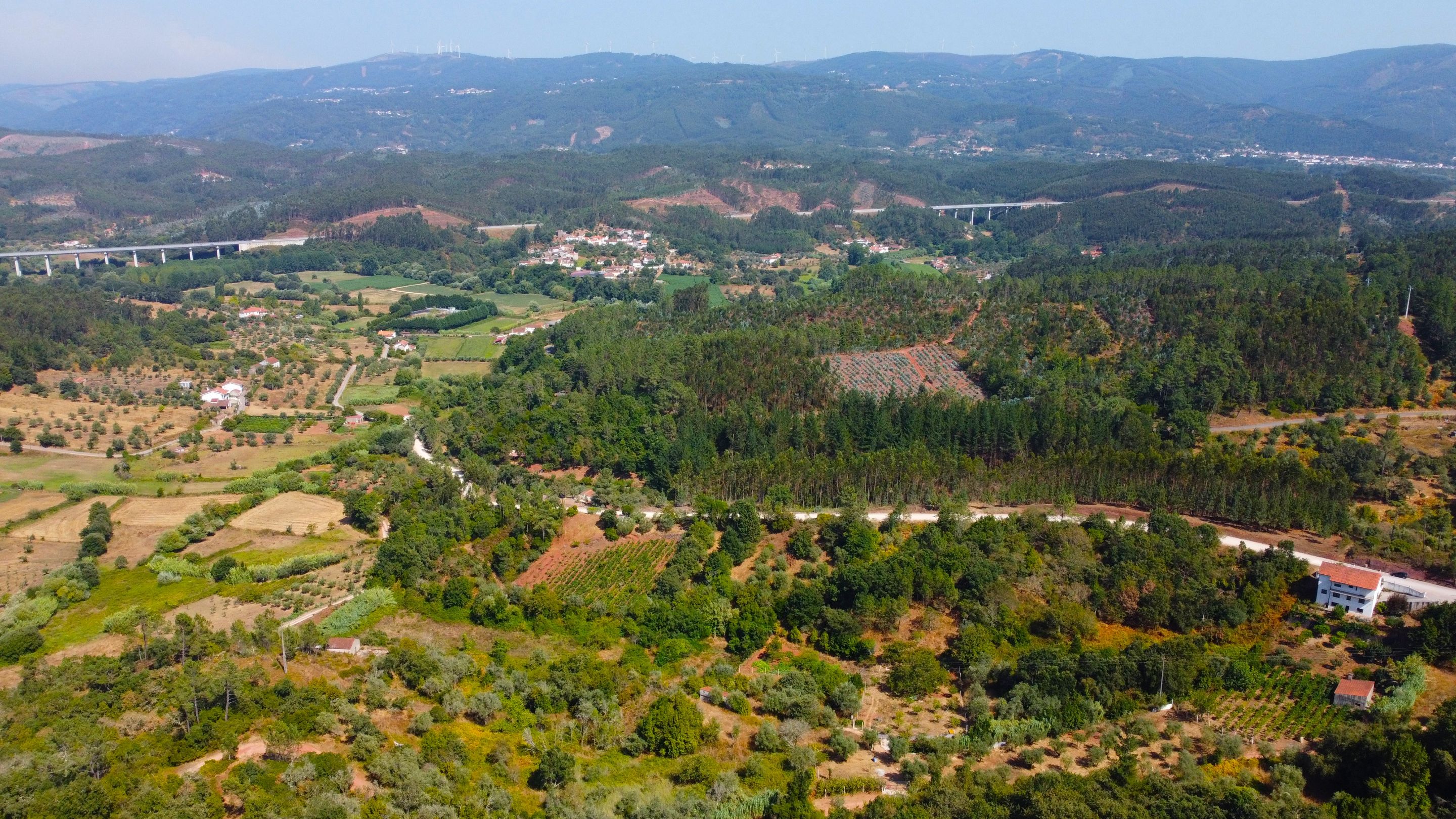 DJI_0500.JPG