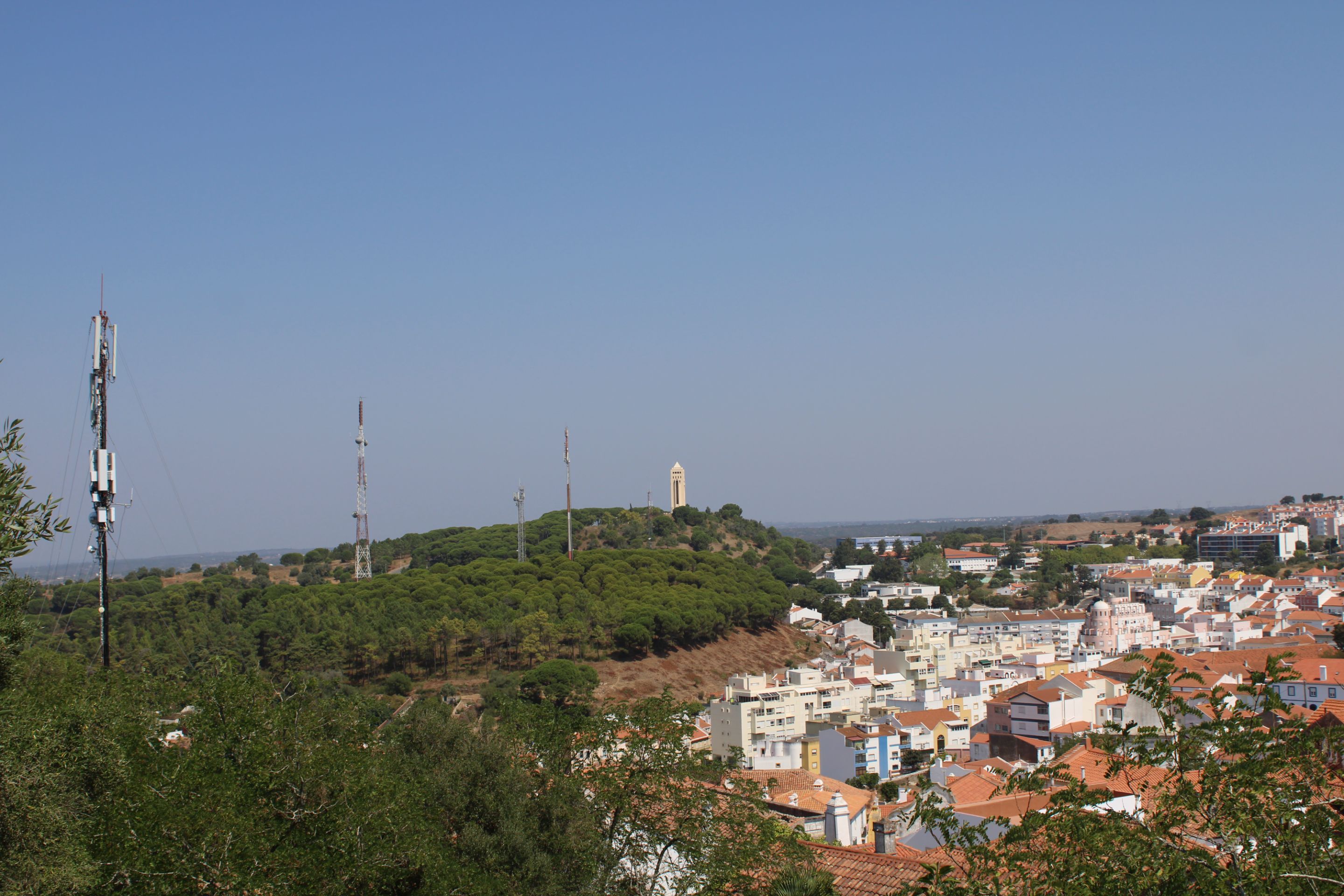 IMG_8221.JPG