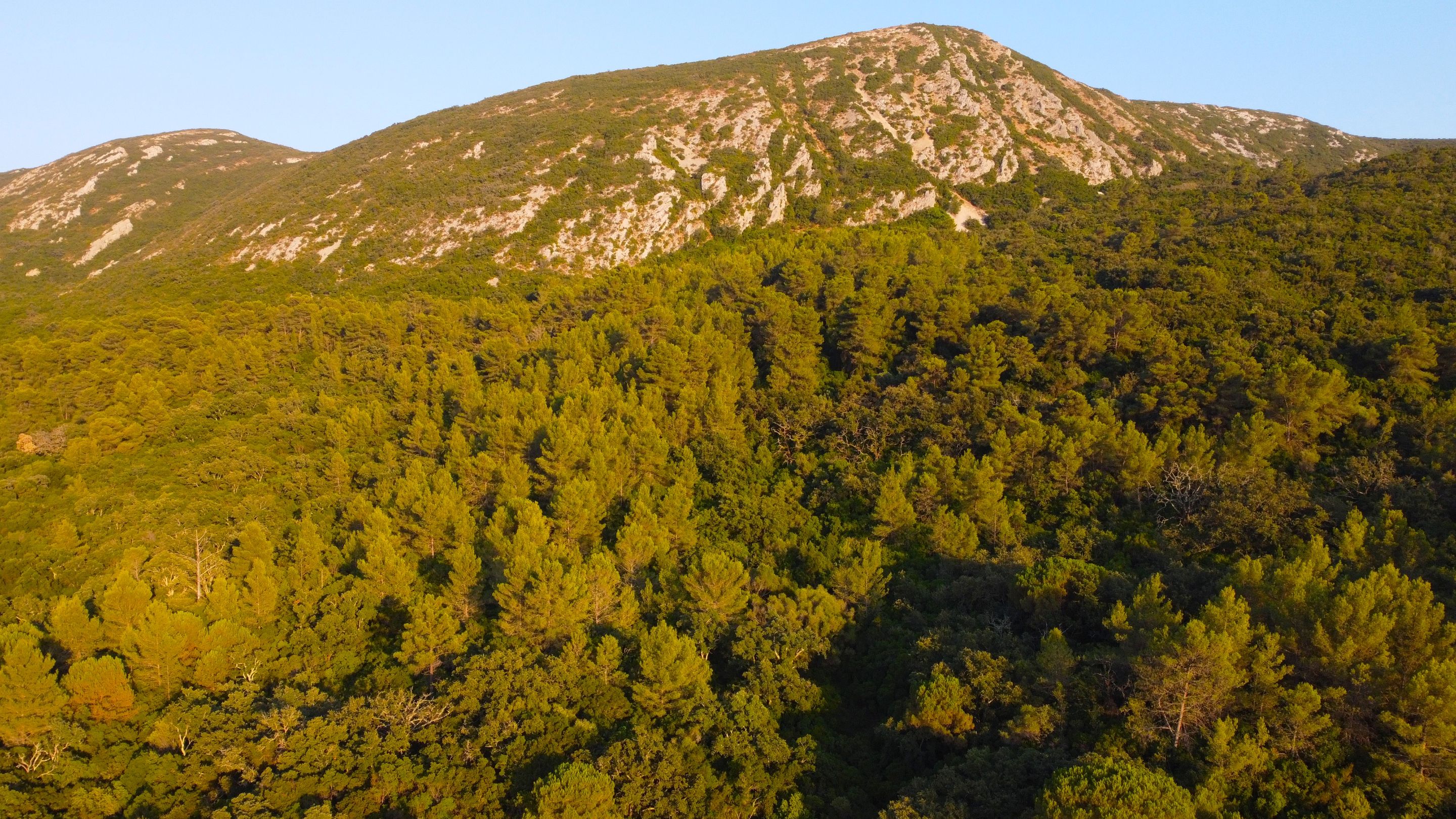 DJI_0376.JPG