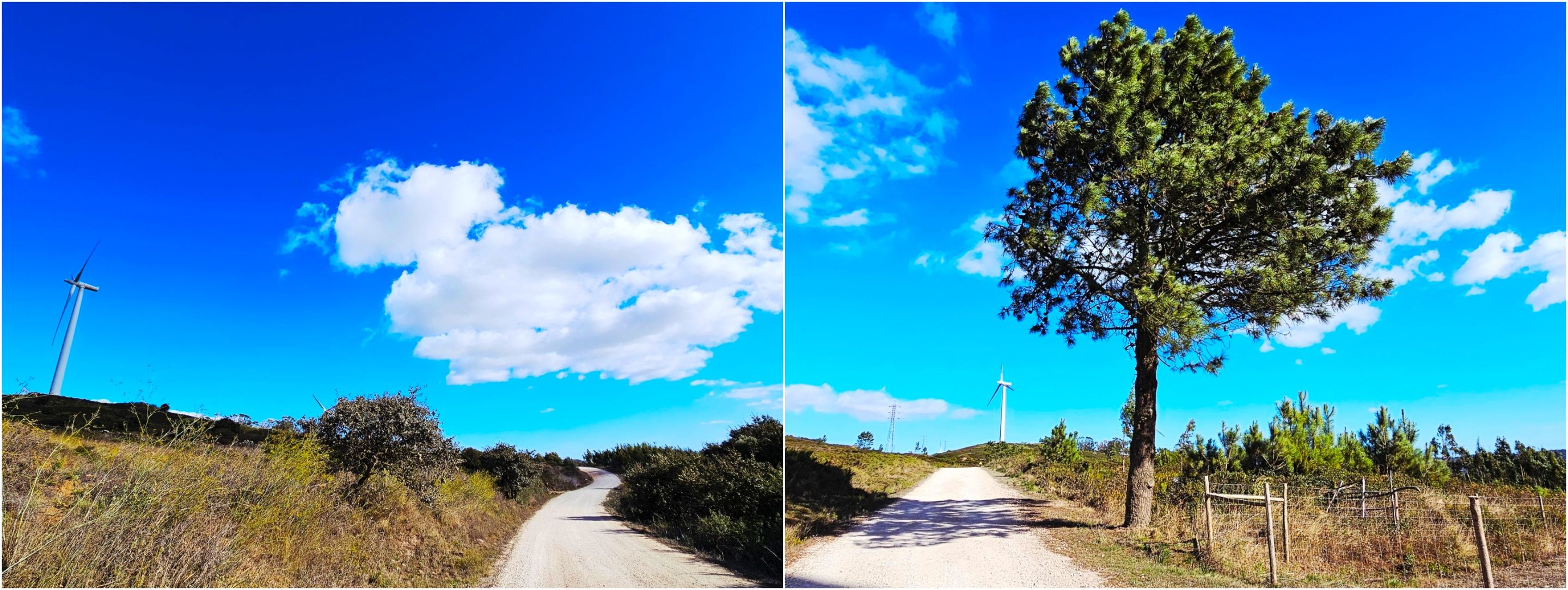 BeFunky-collage - 2025-10-06T103826.143.jpg