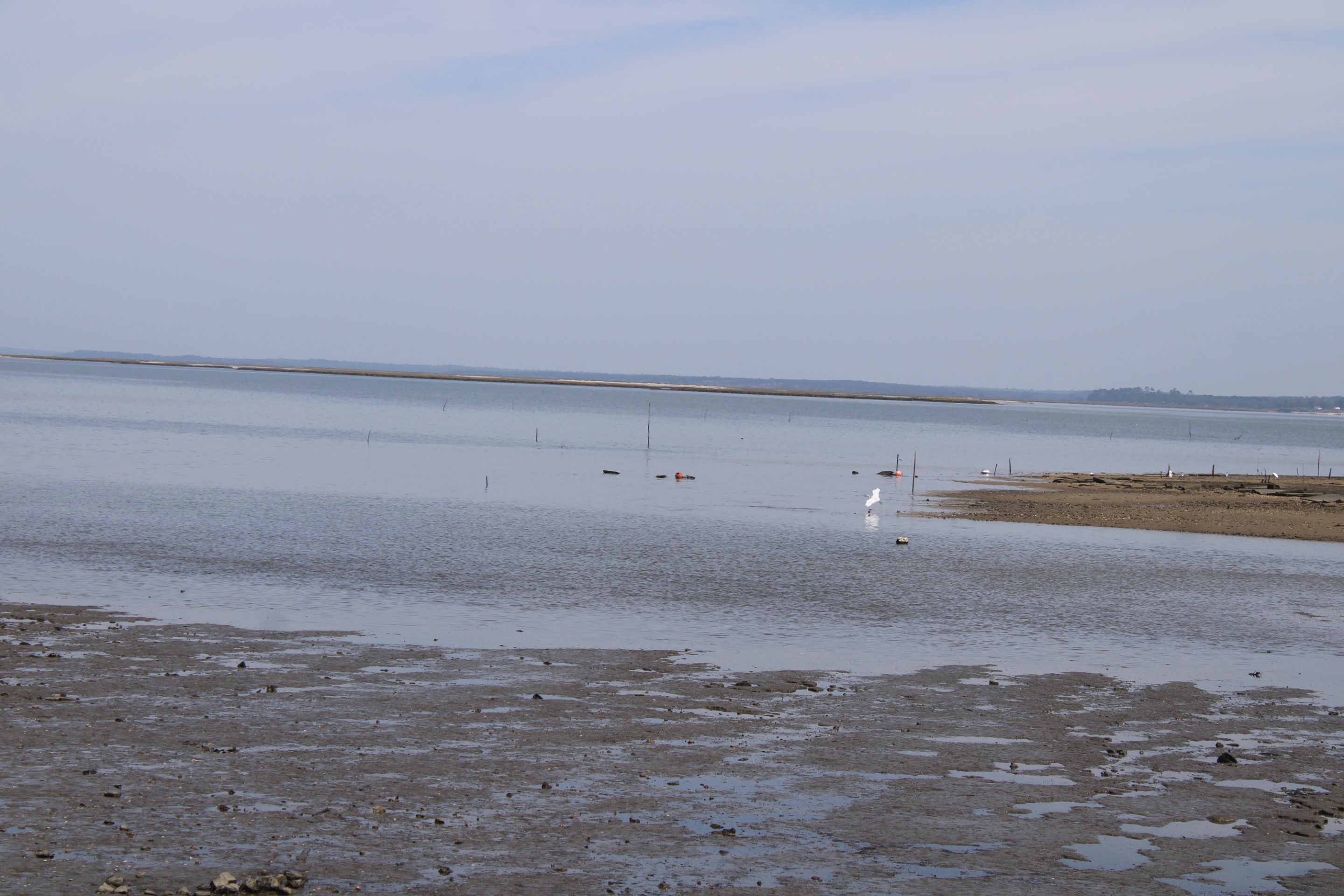 IMG_8777.JPG