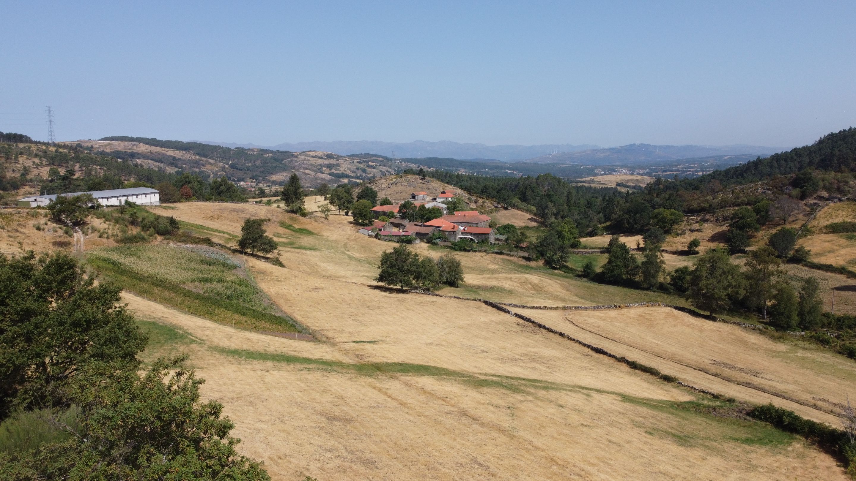 DJI_0551.JPG