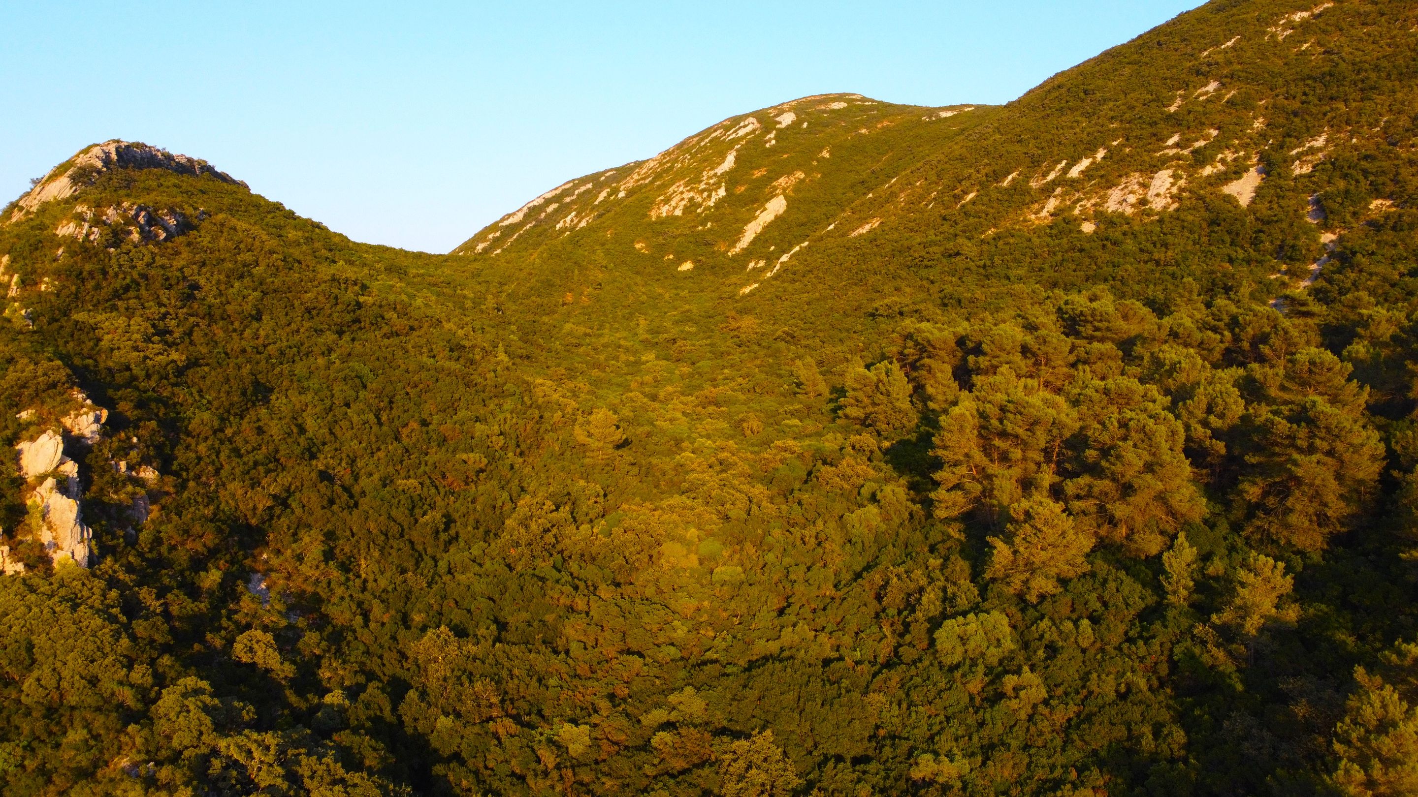 DJI_0389.JPG