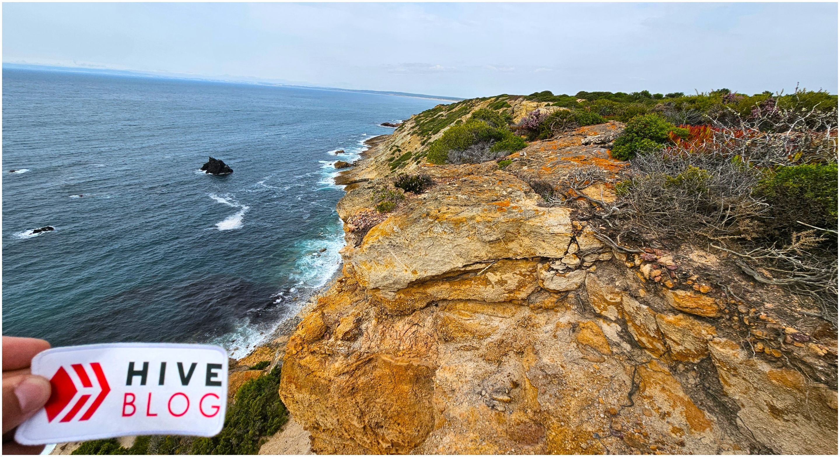 BeFunky-collage - 2025-10-13T154336.992.jpg