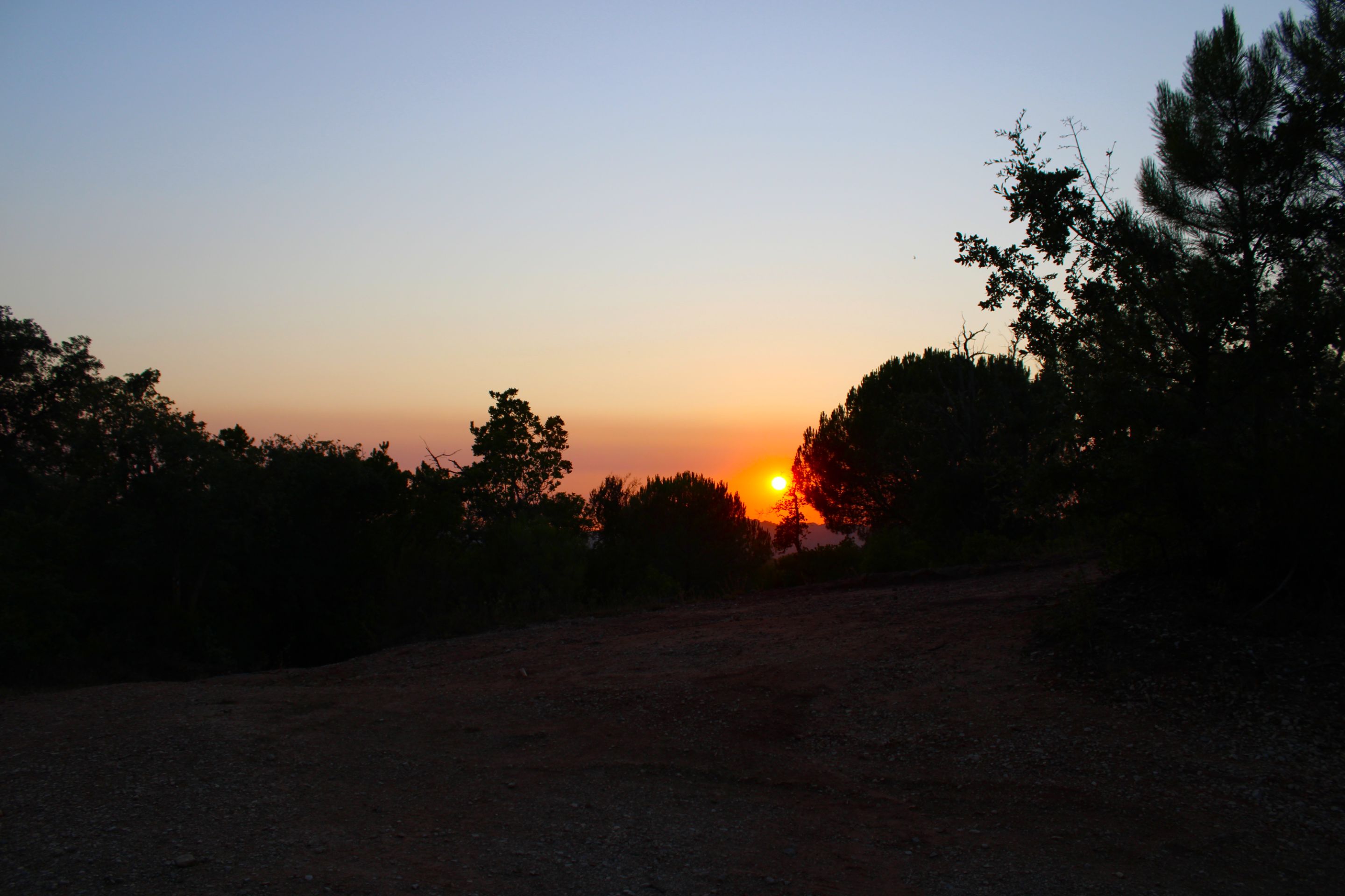 IMG_6379.JPG