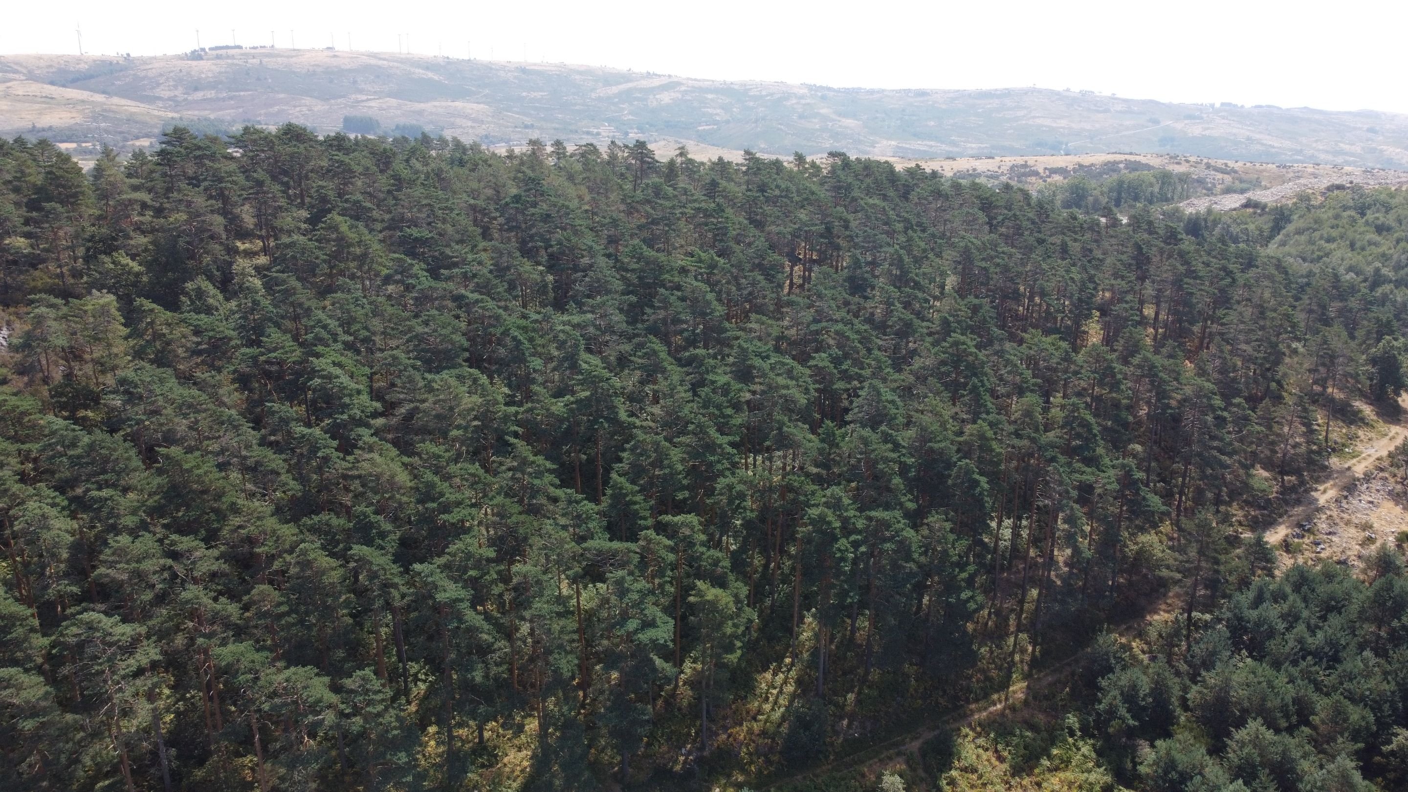 DJI_0558.JPG