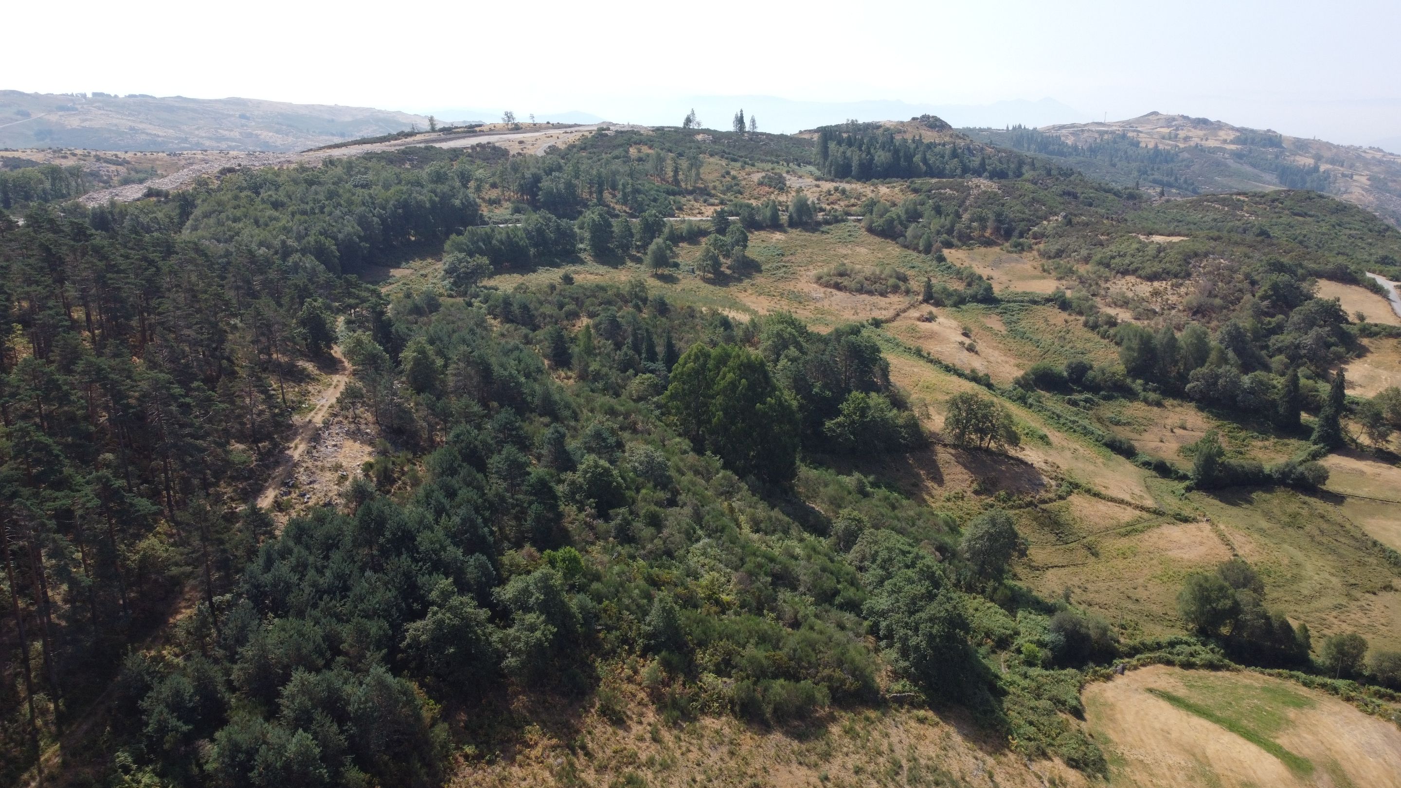 DJI_0559.JPG