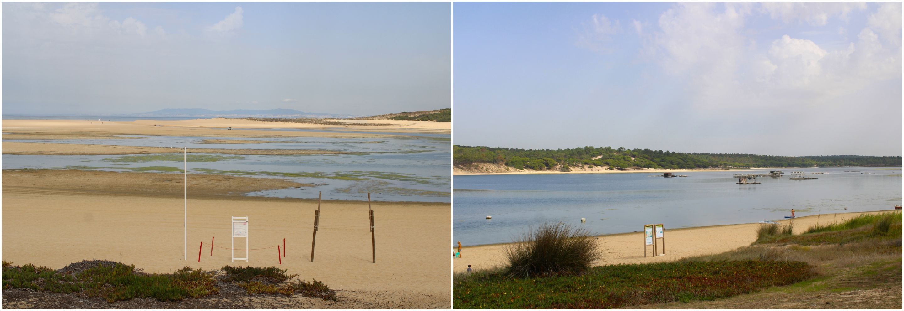 BeFunky-collage - 2025-10-13T151247.846.jpg