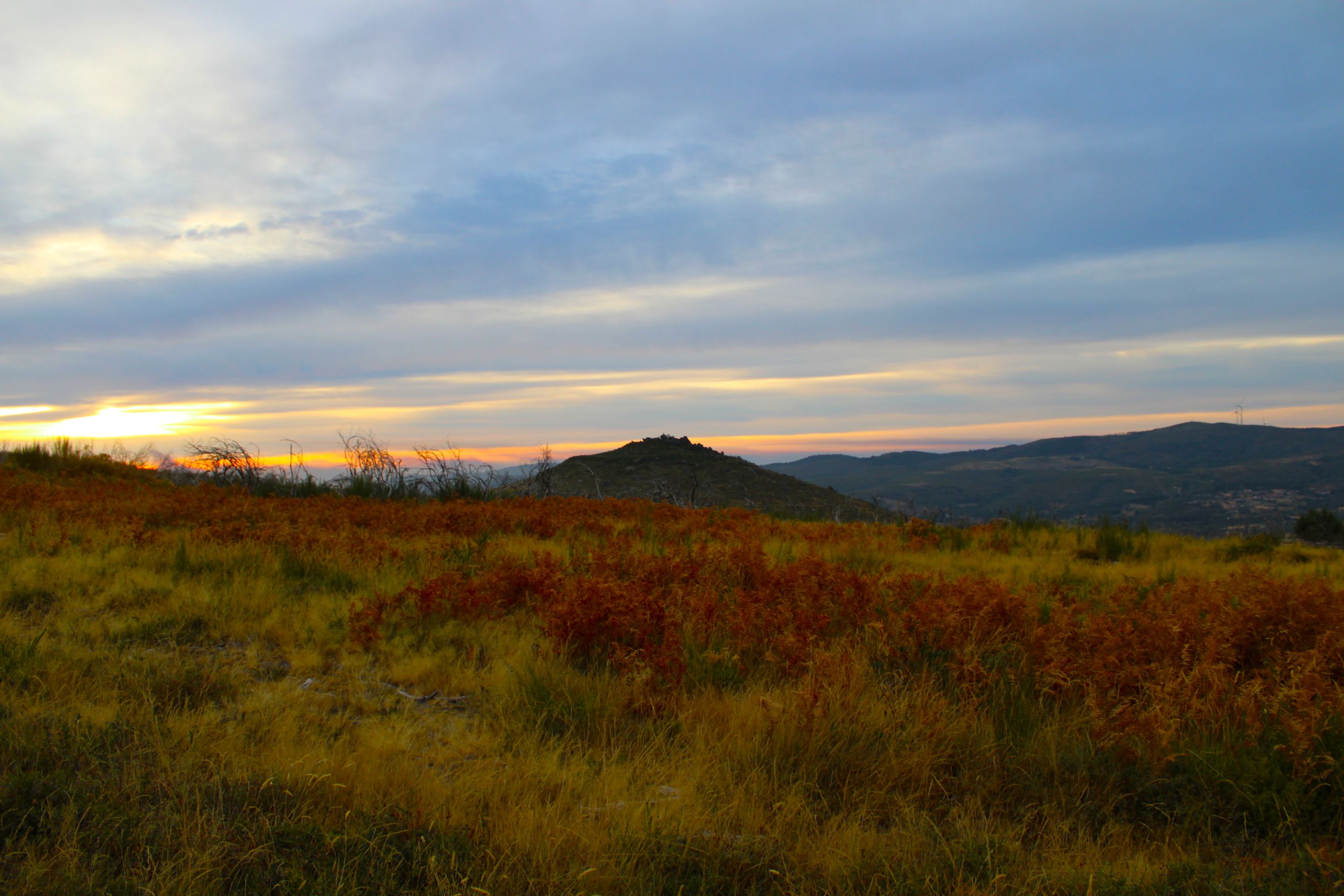 IMG_7741.JPG