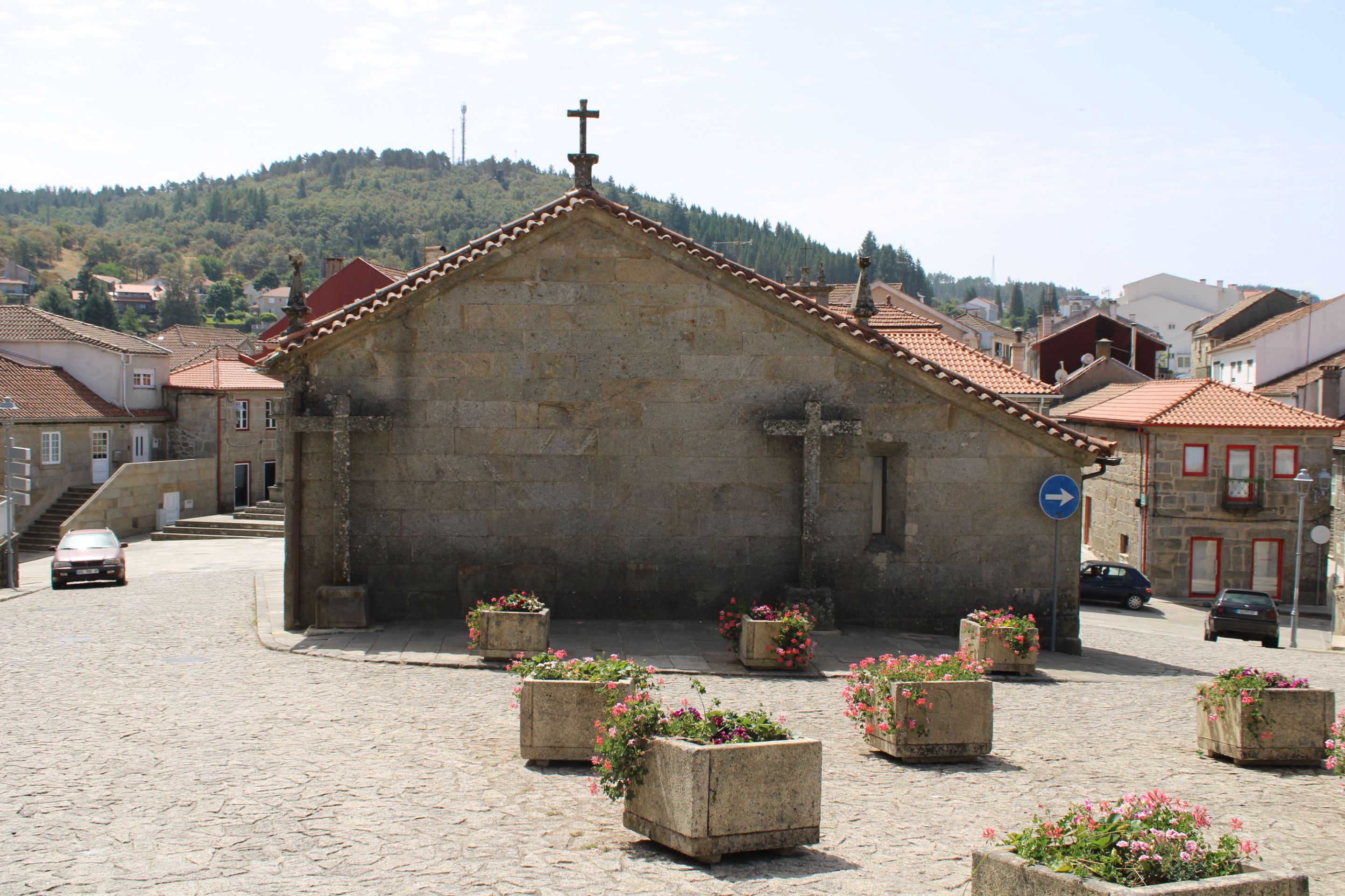 IMG_7565.JPG