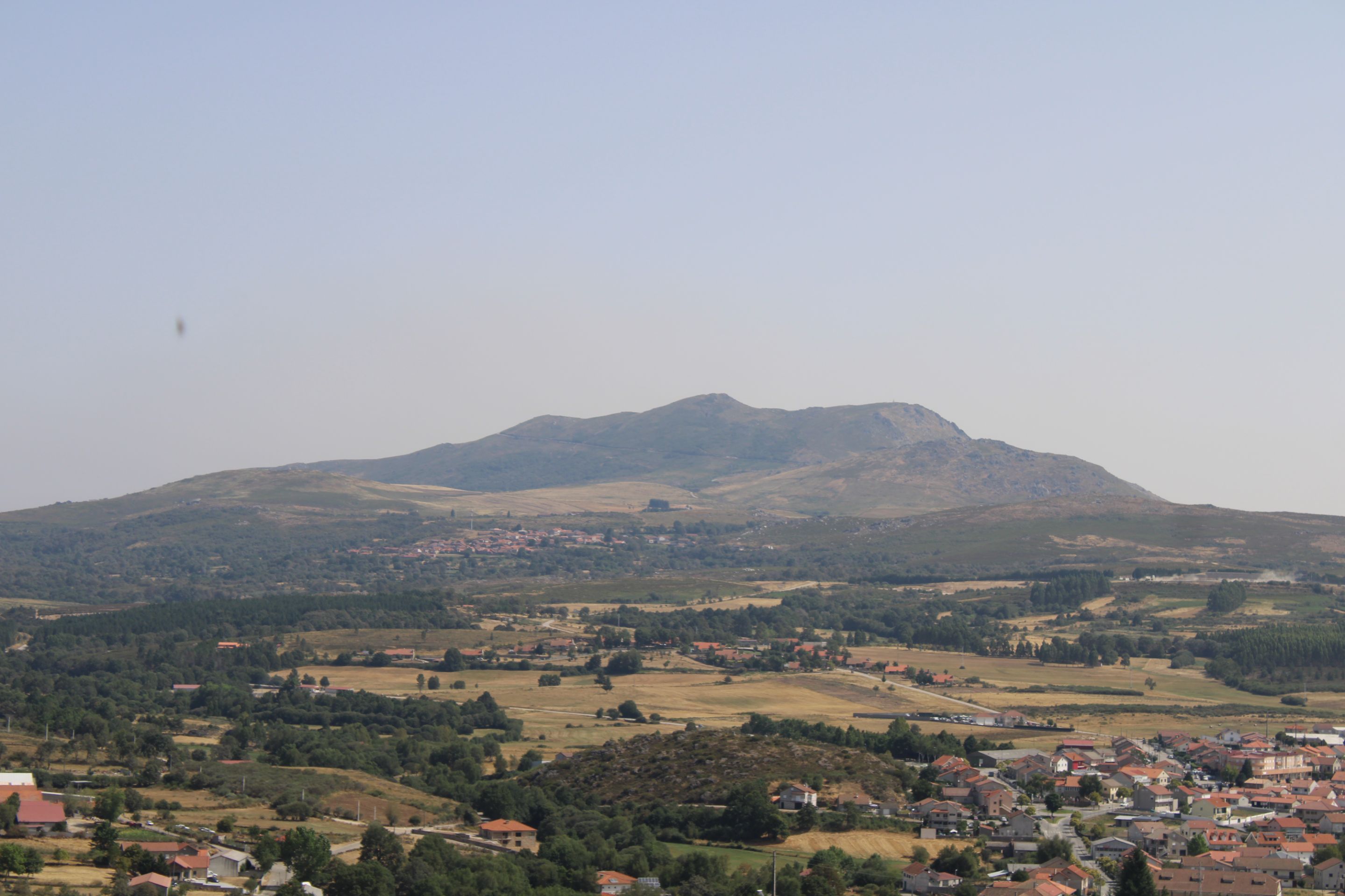 IMG_7538.JPG