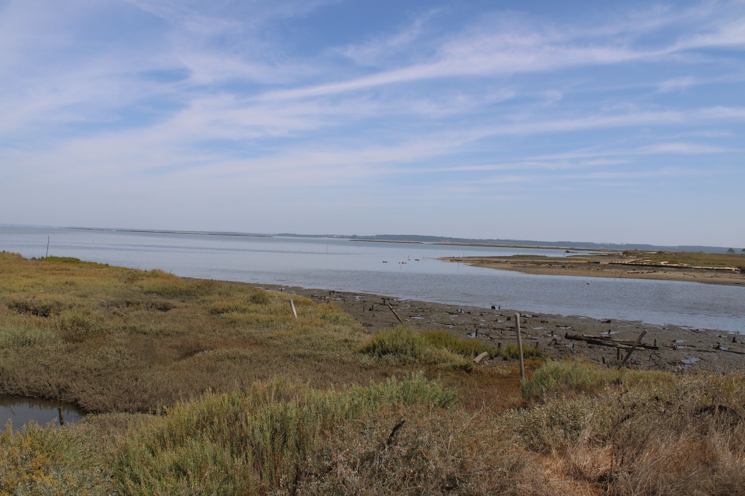 IMG_8781.JPG