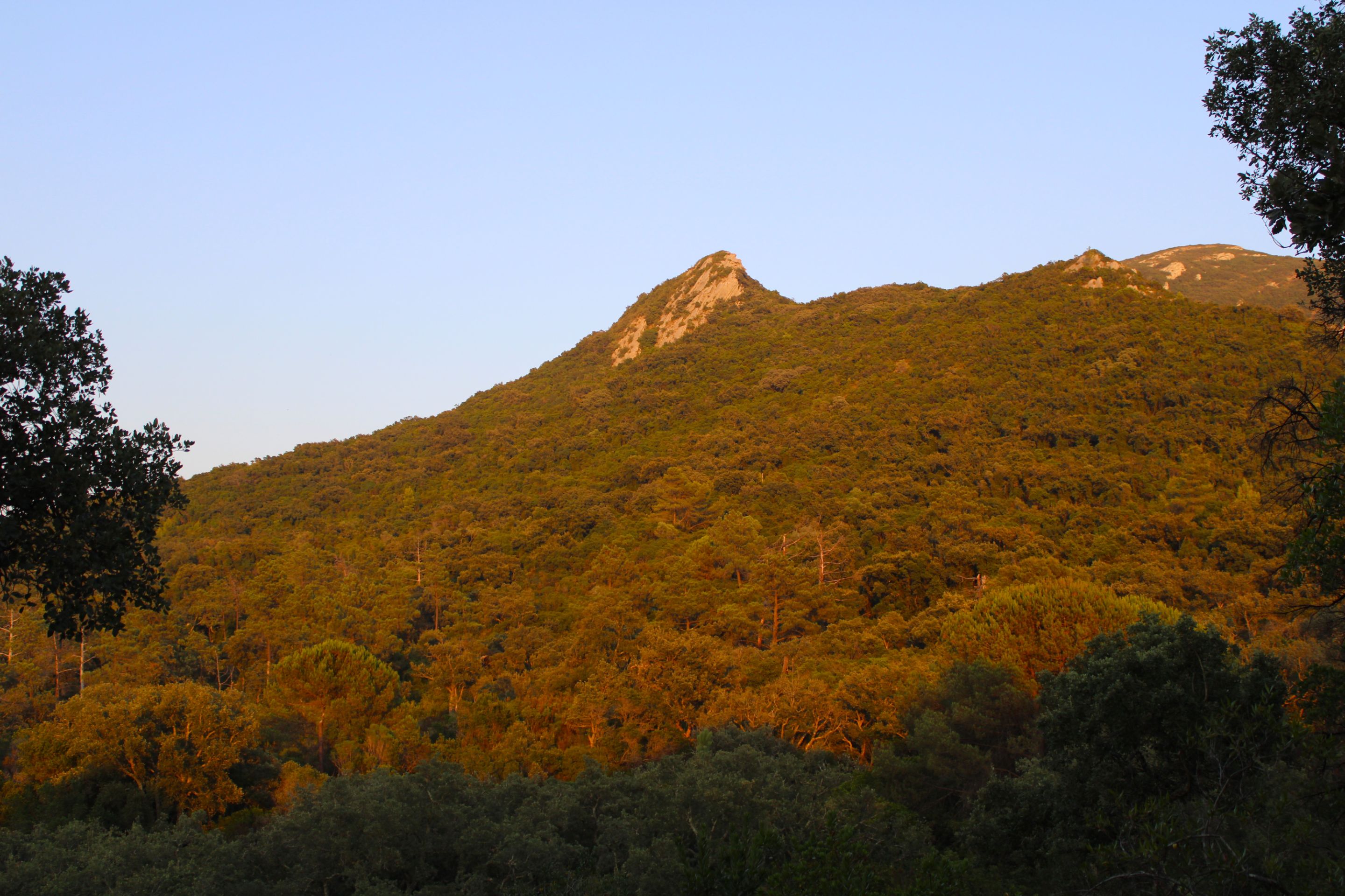 IMG_6355.JPG