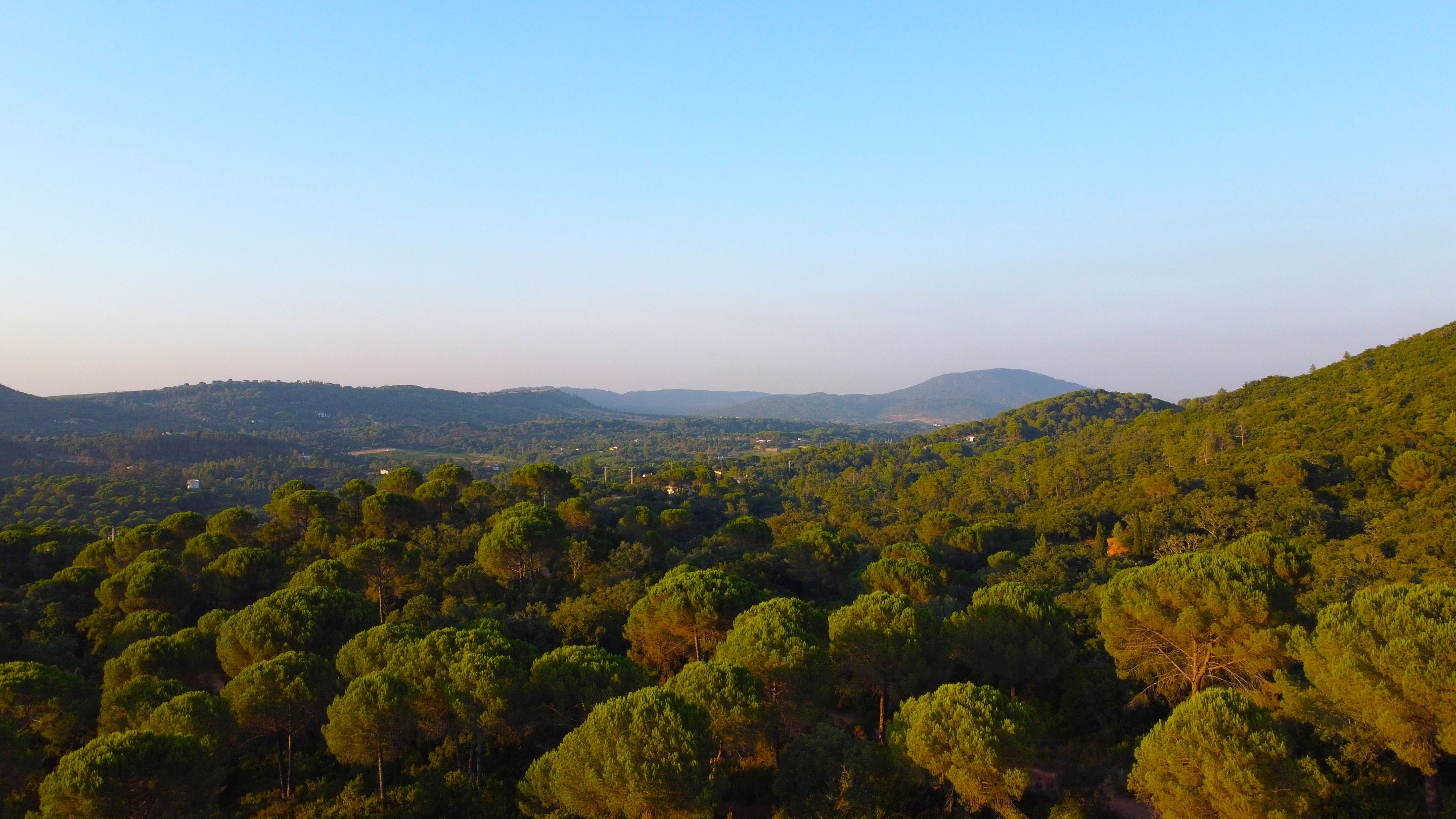 DJI_0373.JPG