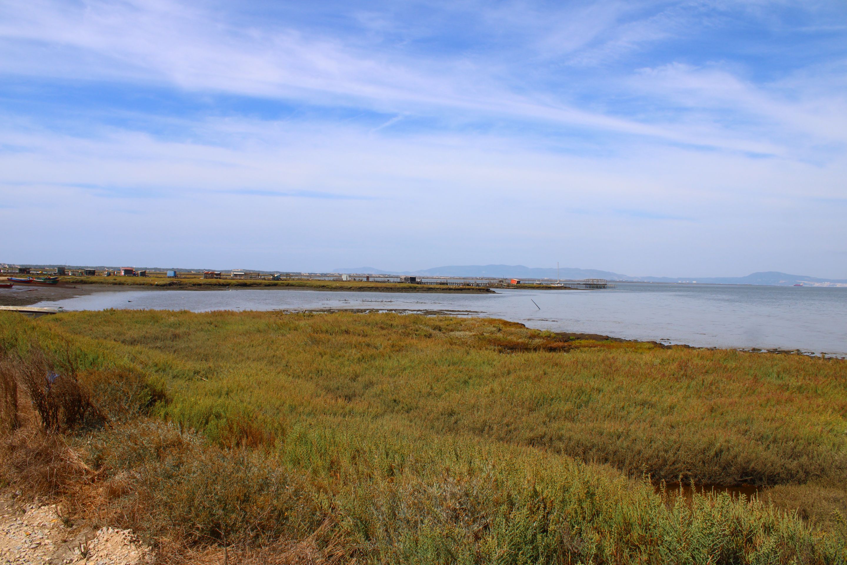 IMG_8783.JPG