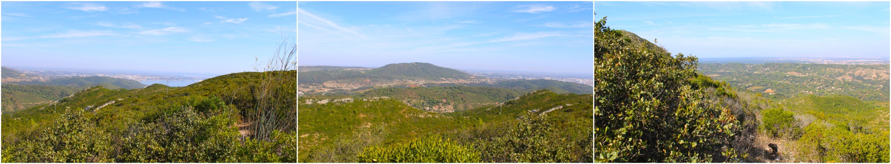 BeFunky-collage - 2025-11-03T111355.395.jpg