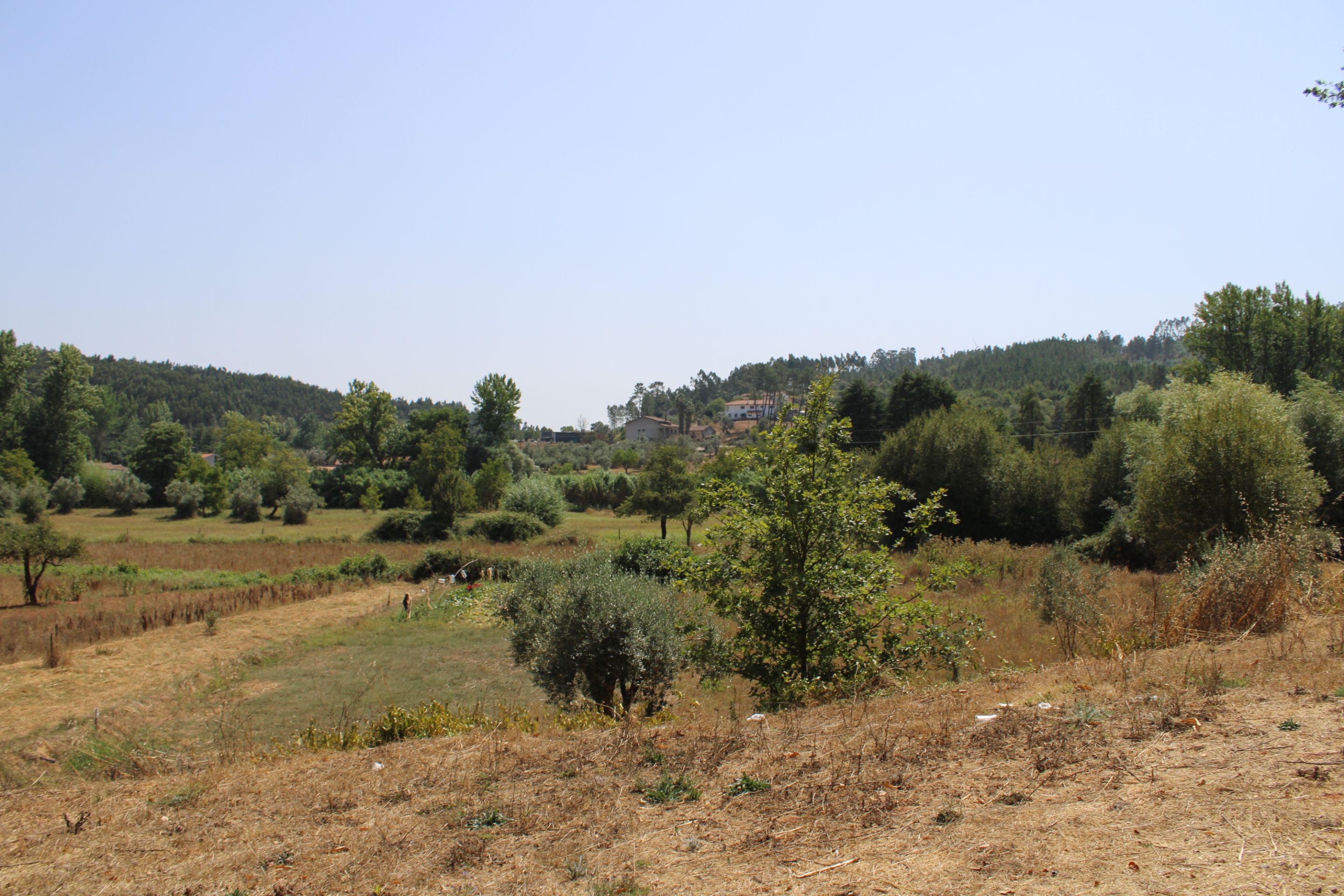 IMG_6788.JPG