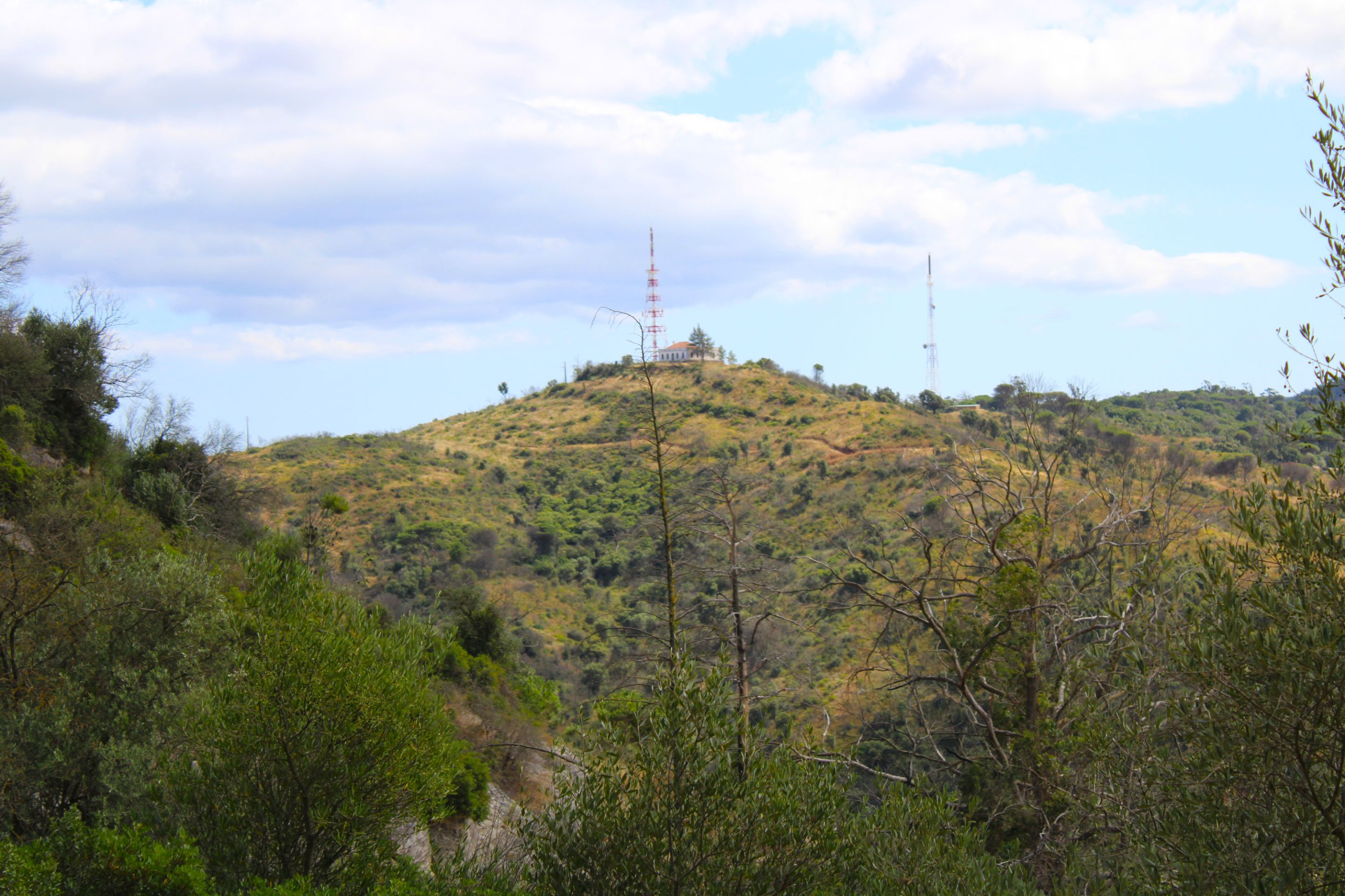 IMG_5406.JPG