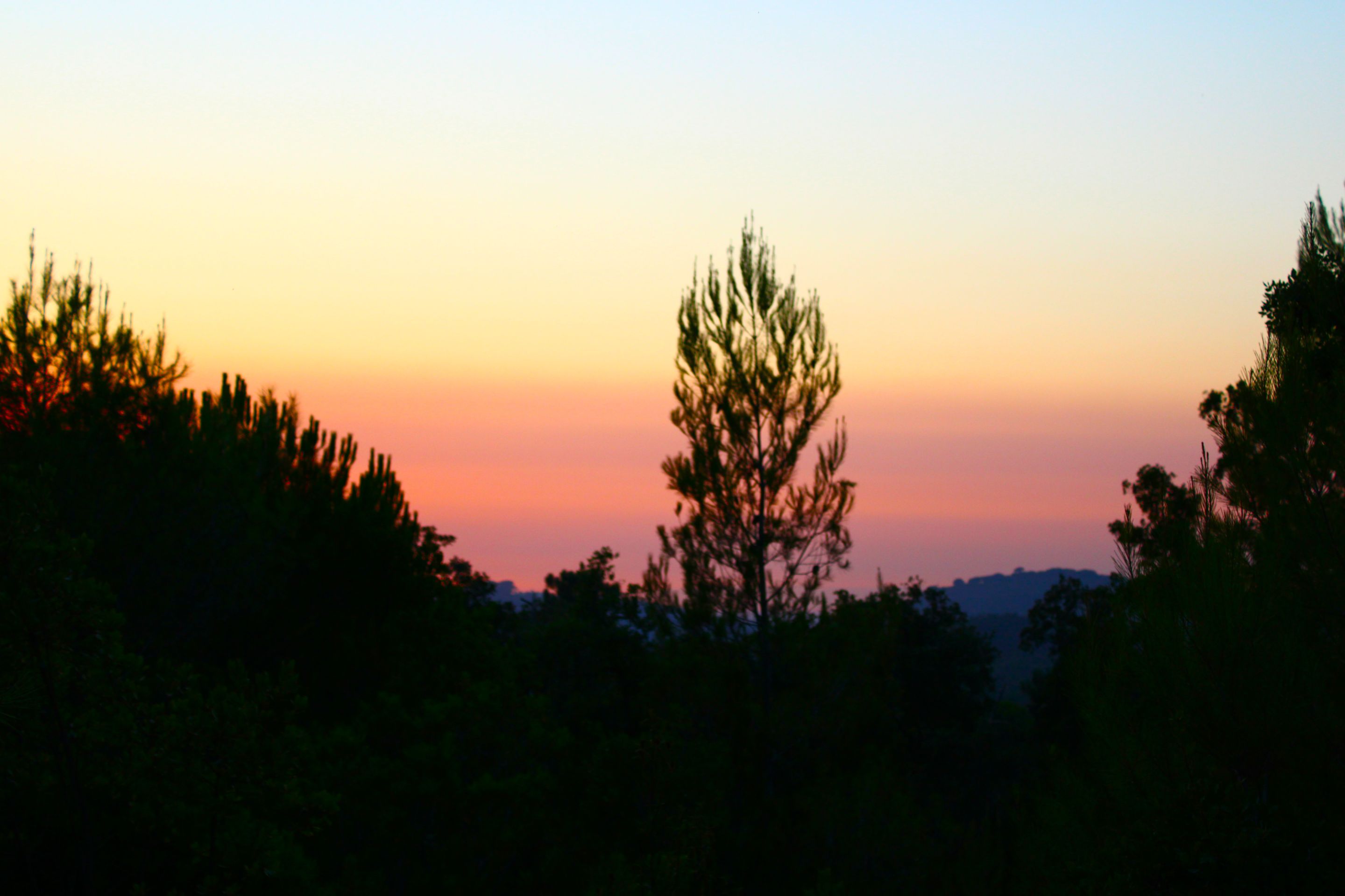 IMG_6383.JPG