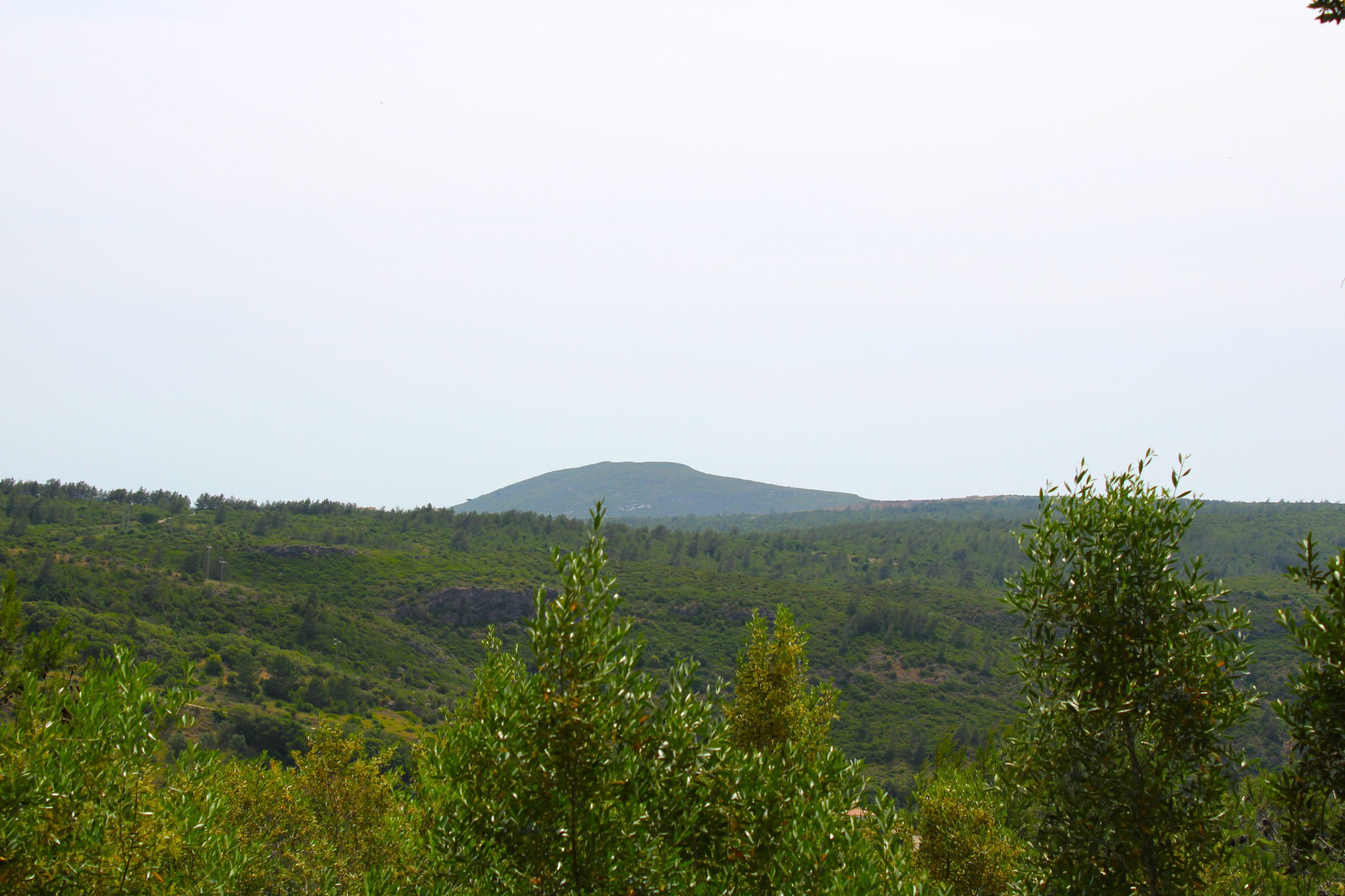 IMG_3369.JPG