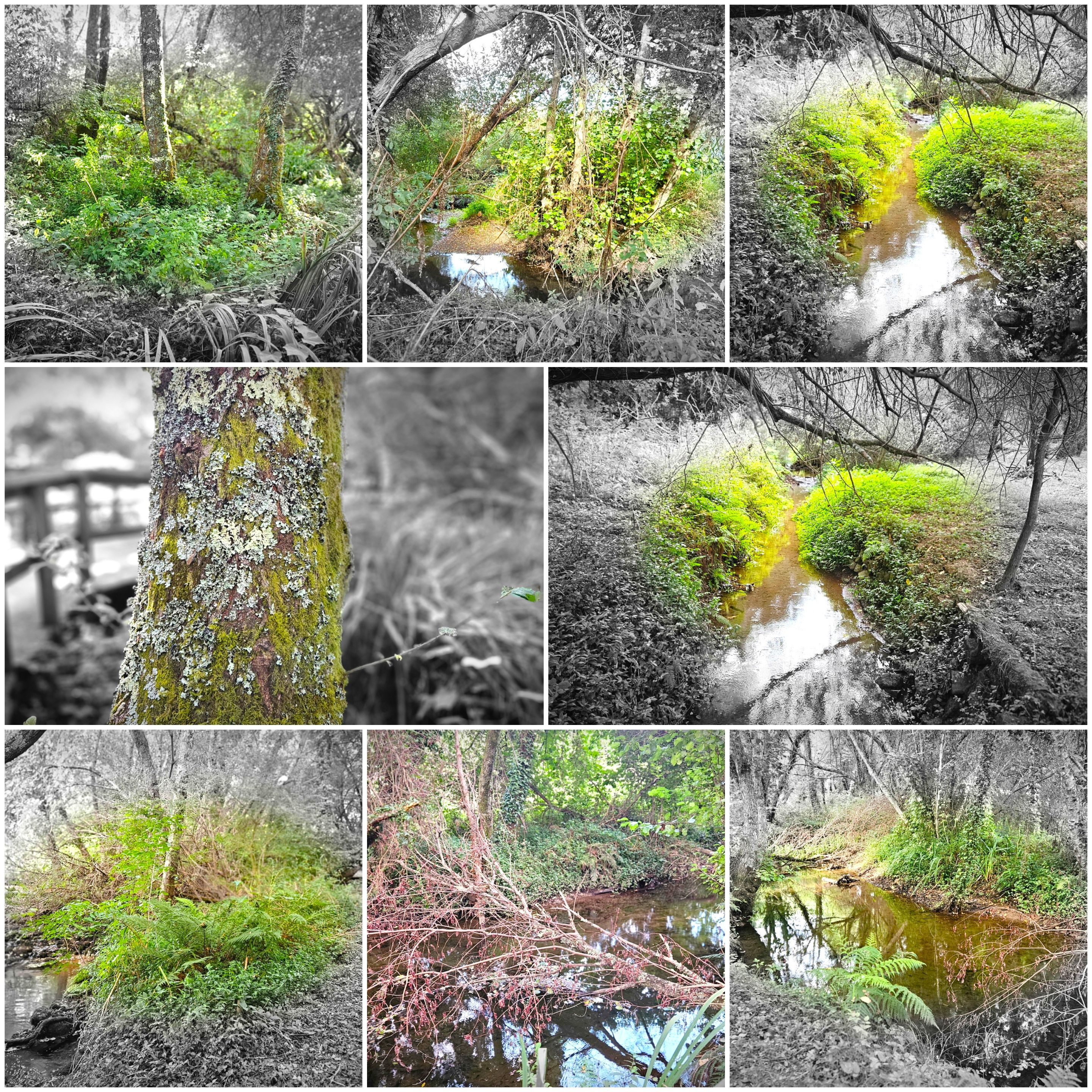 BeFunky-collage - 2025-09-11T143305.727.jpg