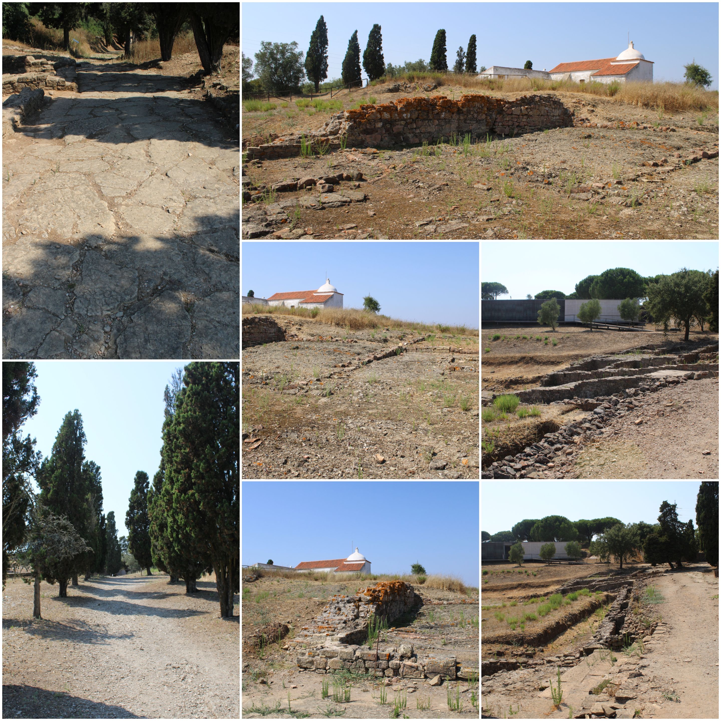 BeFunky-collage - 2025-10-20T121050.923.jpg