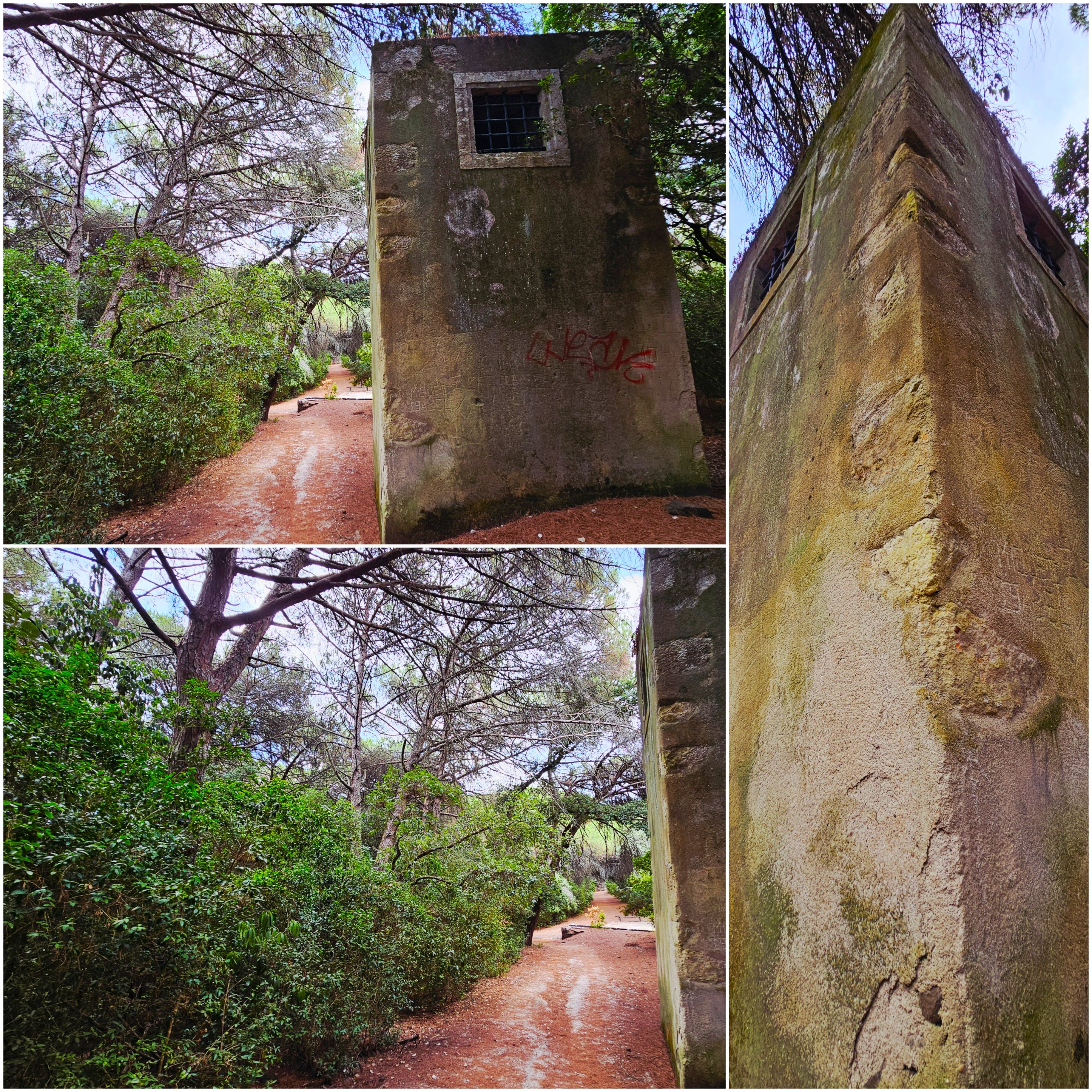 BeFunky-collage - 2025-10-30T112018.949.jpg