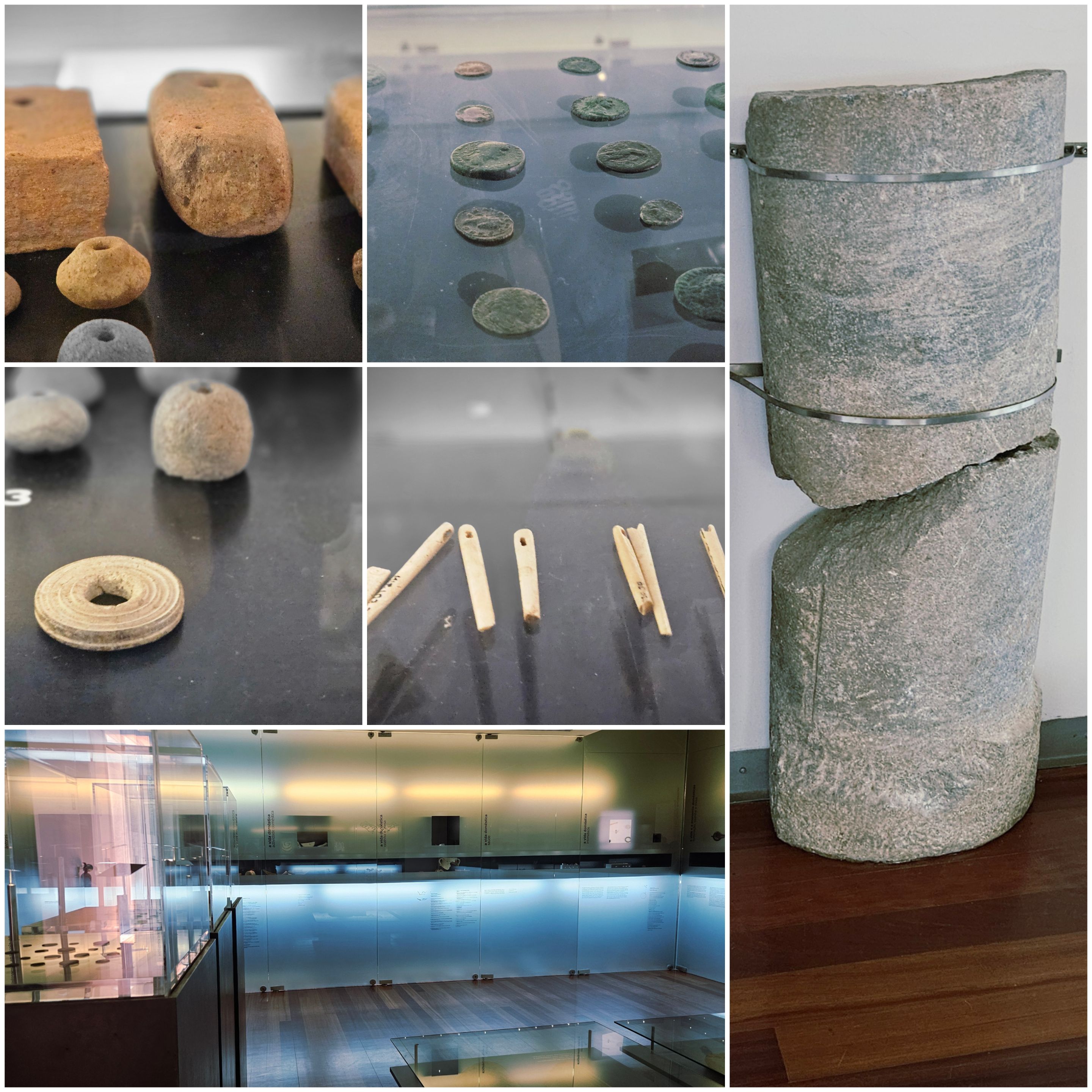 BeFunky-collage - 2025-10-20T112602.254.jpg