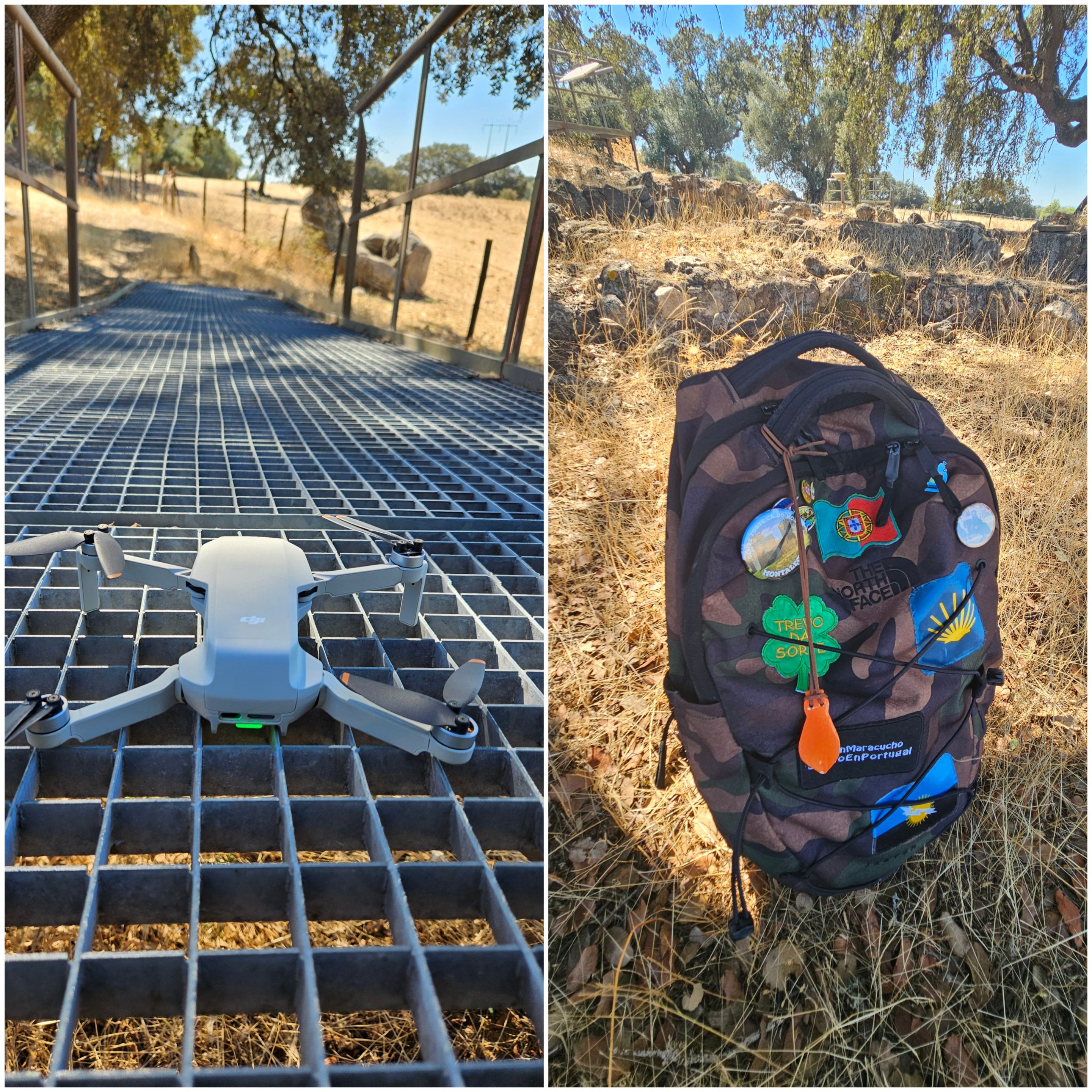 BeFunky-collage - 2025-10-08T114832.622.jpg